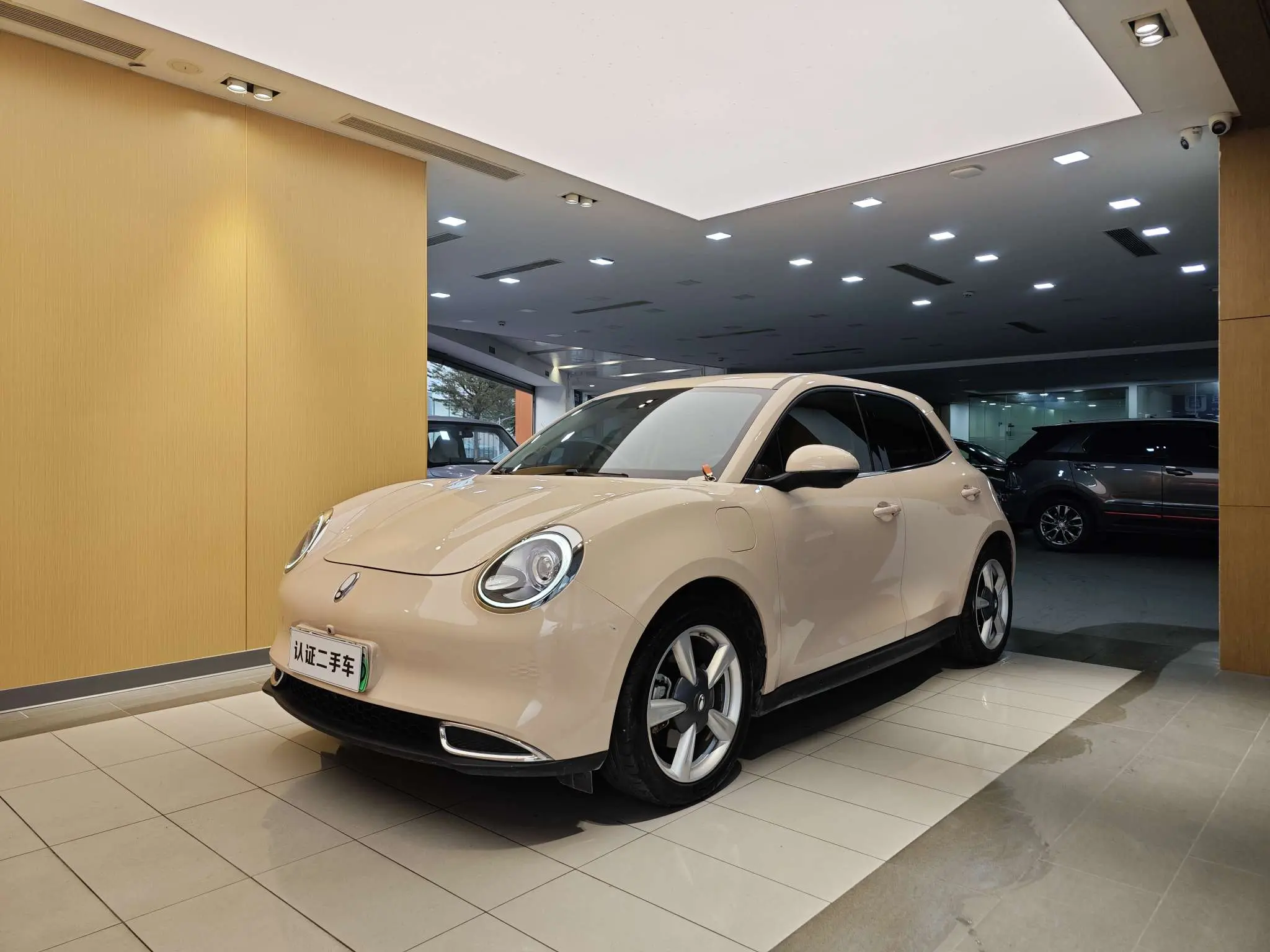 ORA Euler good cat  из Китая