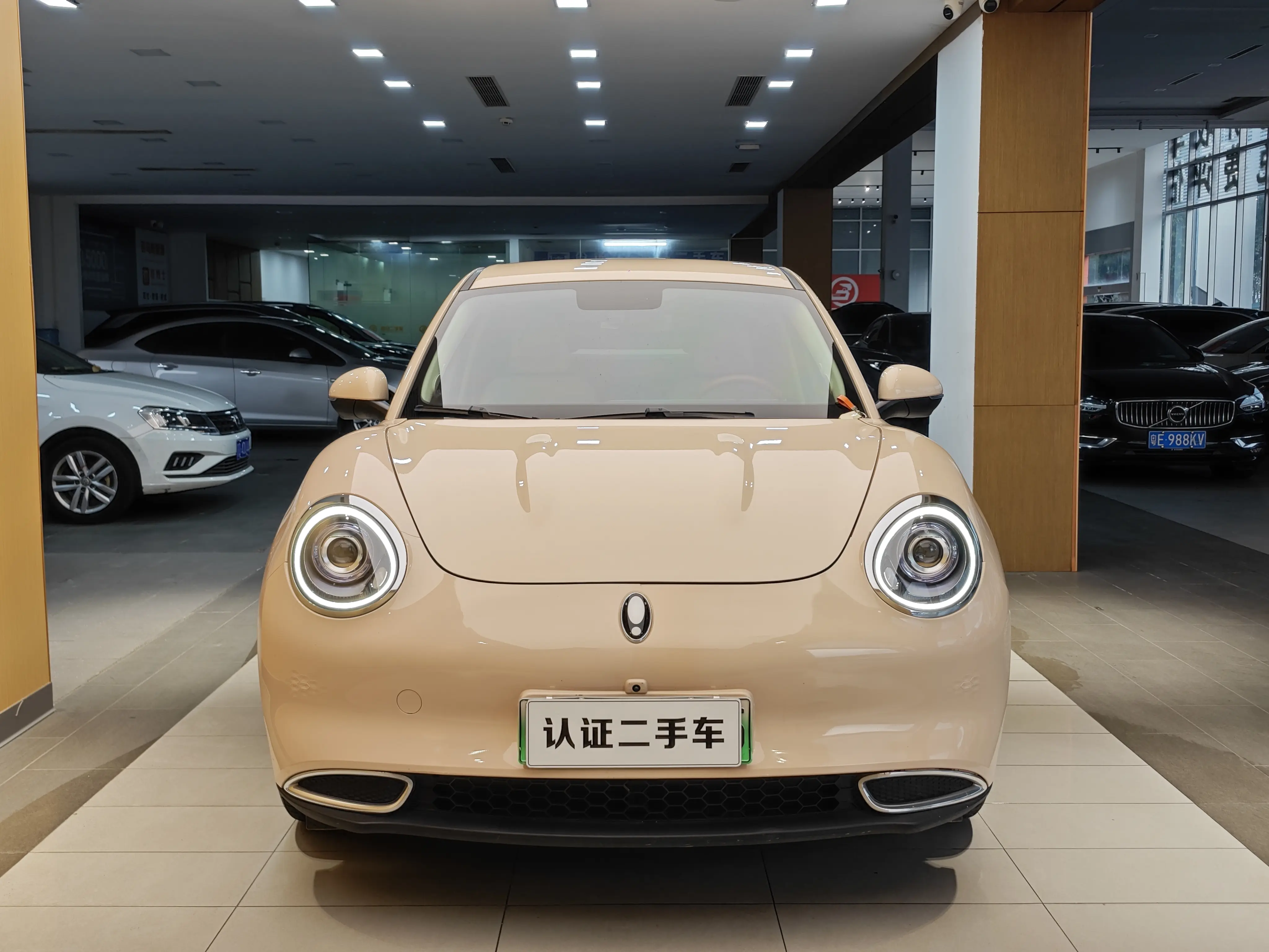 ORA Euler good cat  из Китая