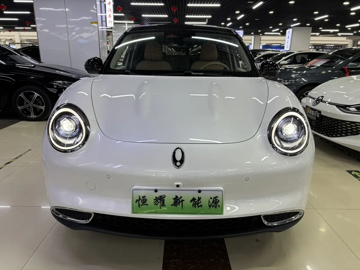 ORA Euler good cat  из Китая