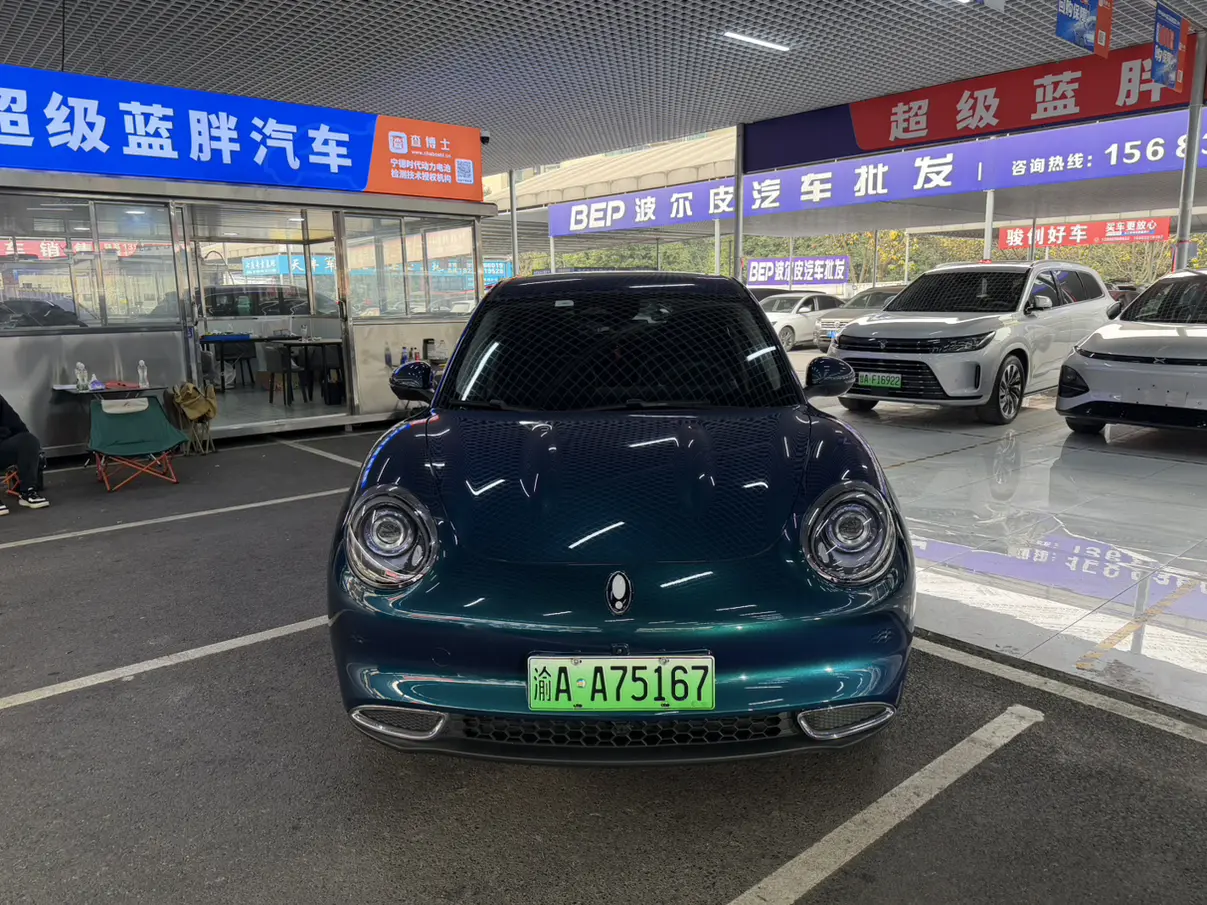 ORA Euler good cat  из Китая