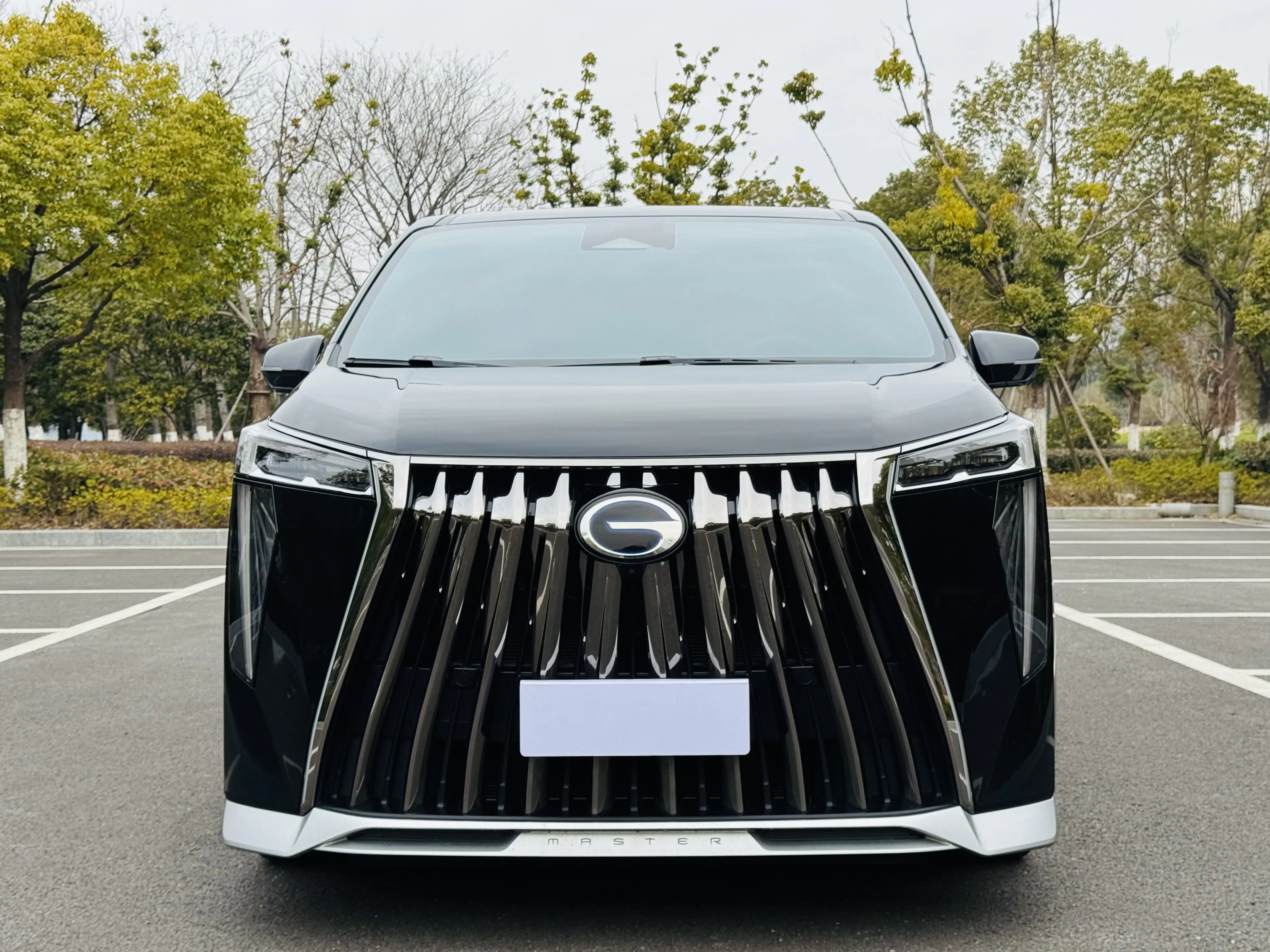 GAC Trumpchi M8  из Китая