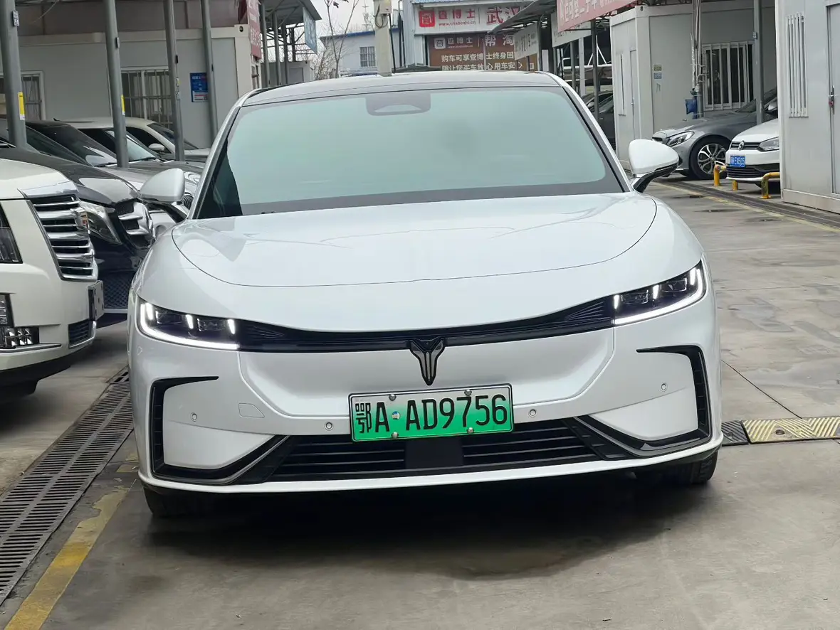 Voyah Passion EV  из Китая