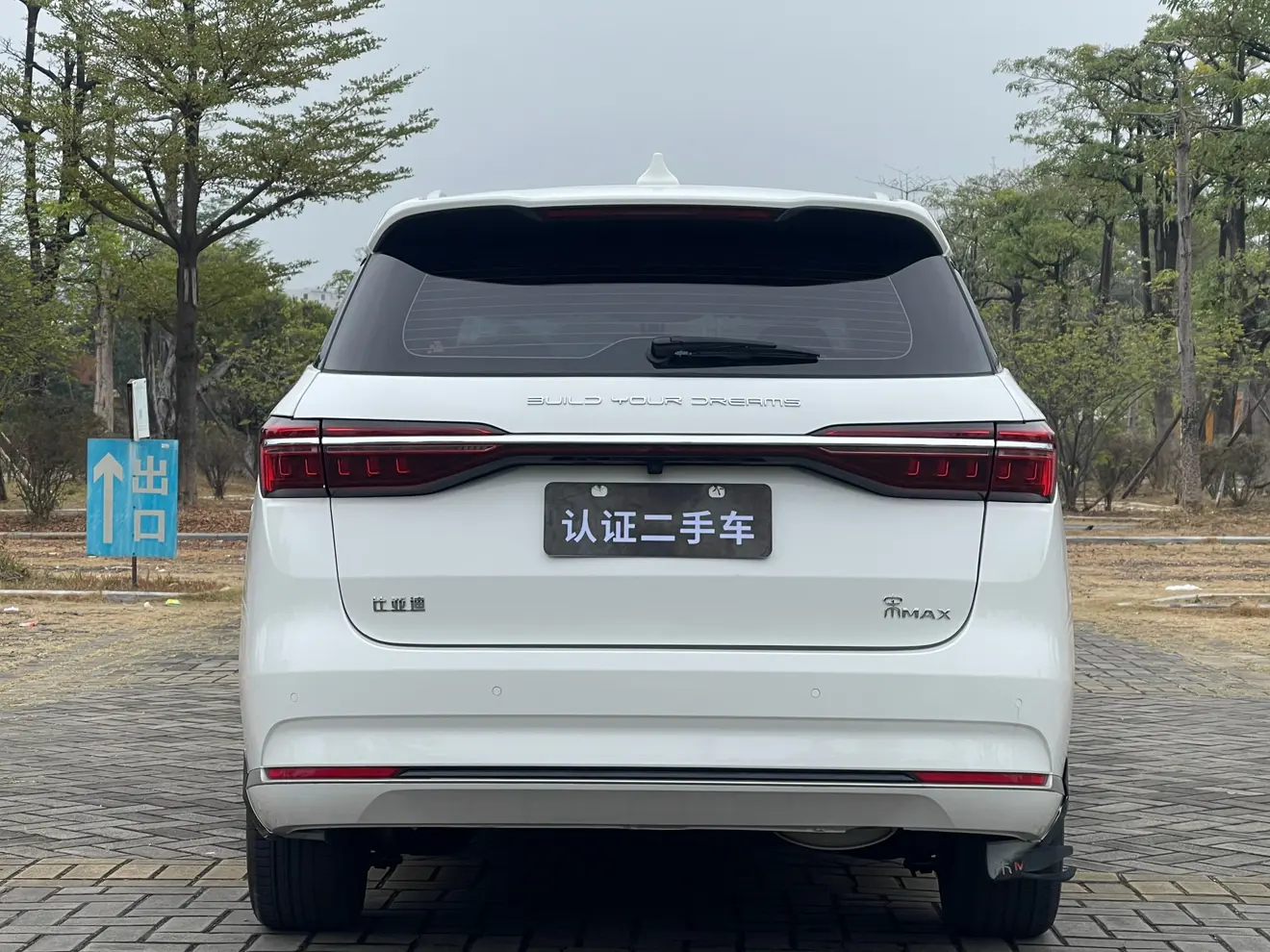 BYD Song MAX  из Китая