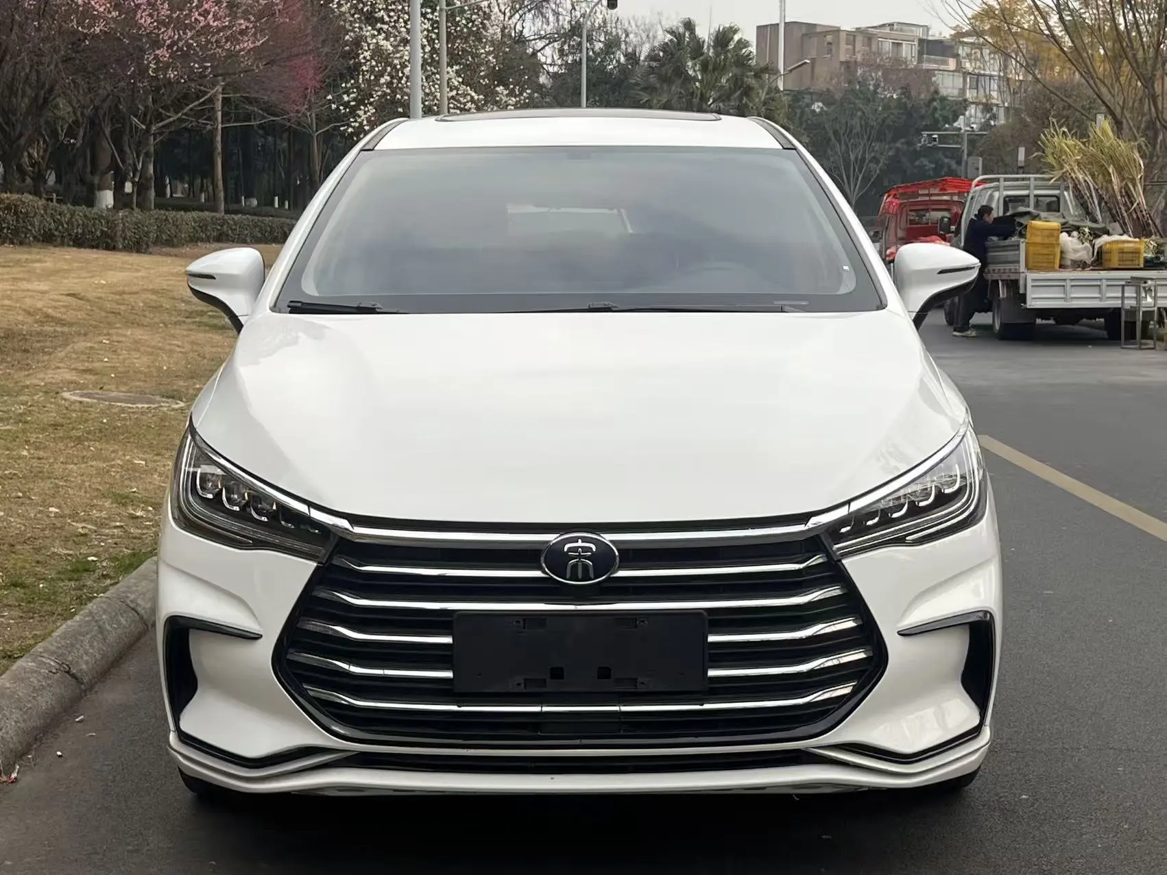 BYD Song MAX  из Китая