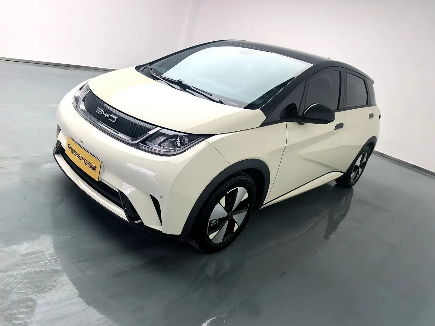 BYD Dolphin  из Китая