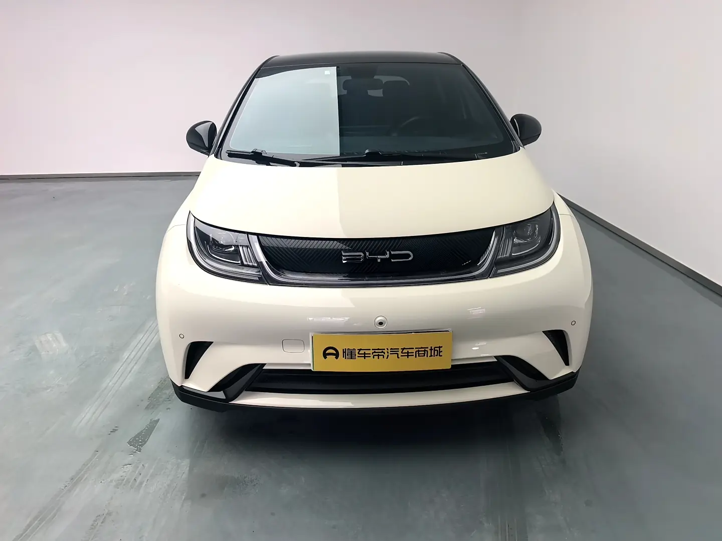 BYD Dolphin  из Китая