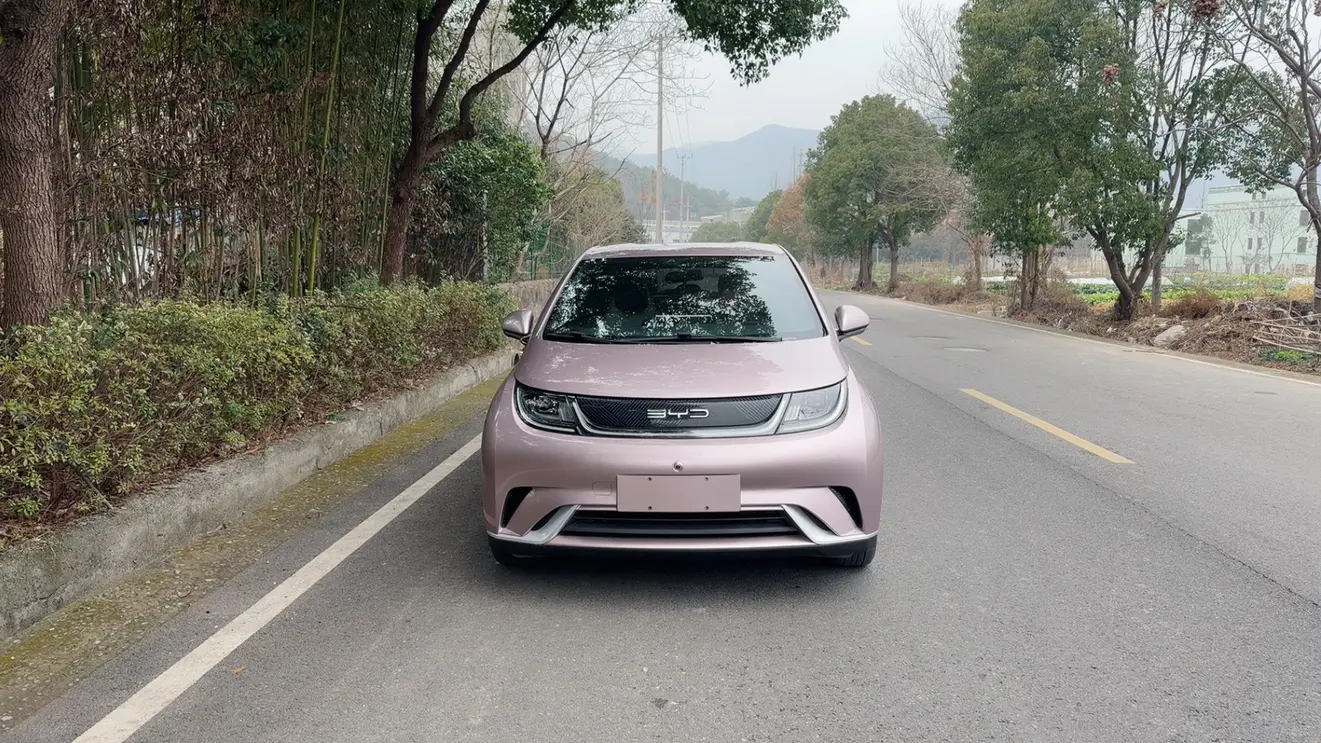 BYD Dolphin  из Китая