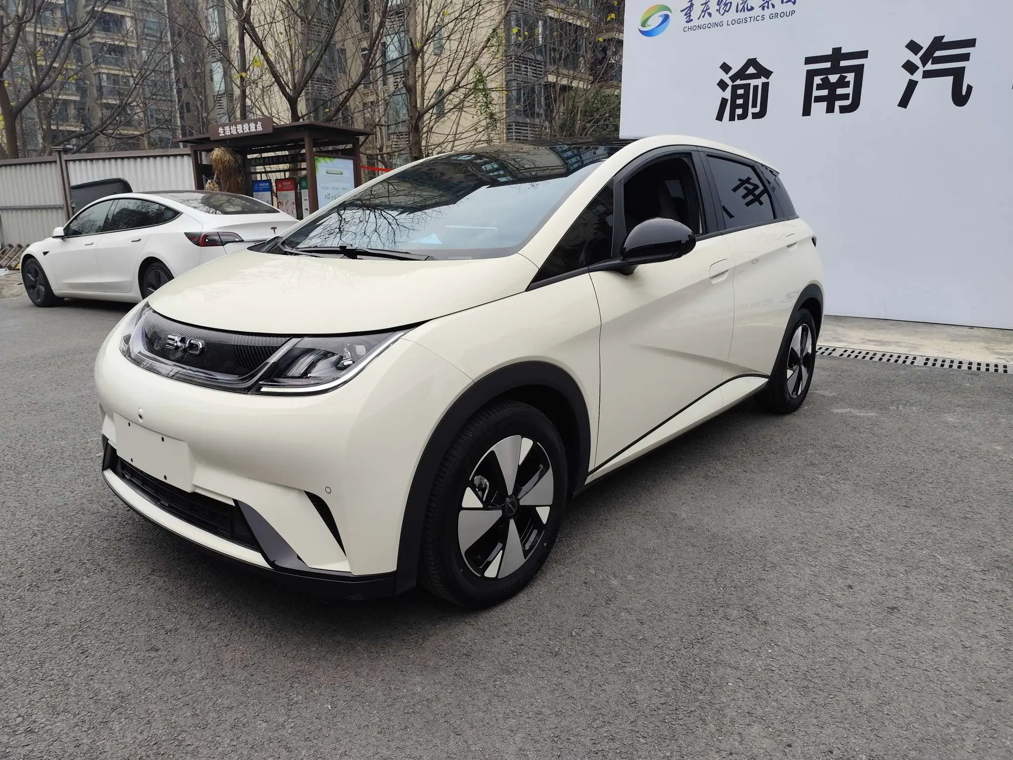 BYD Dolphin  из Китая