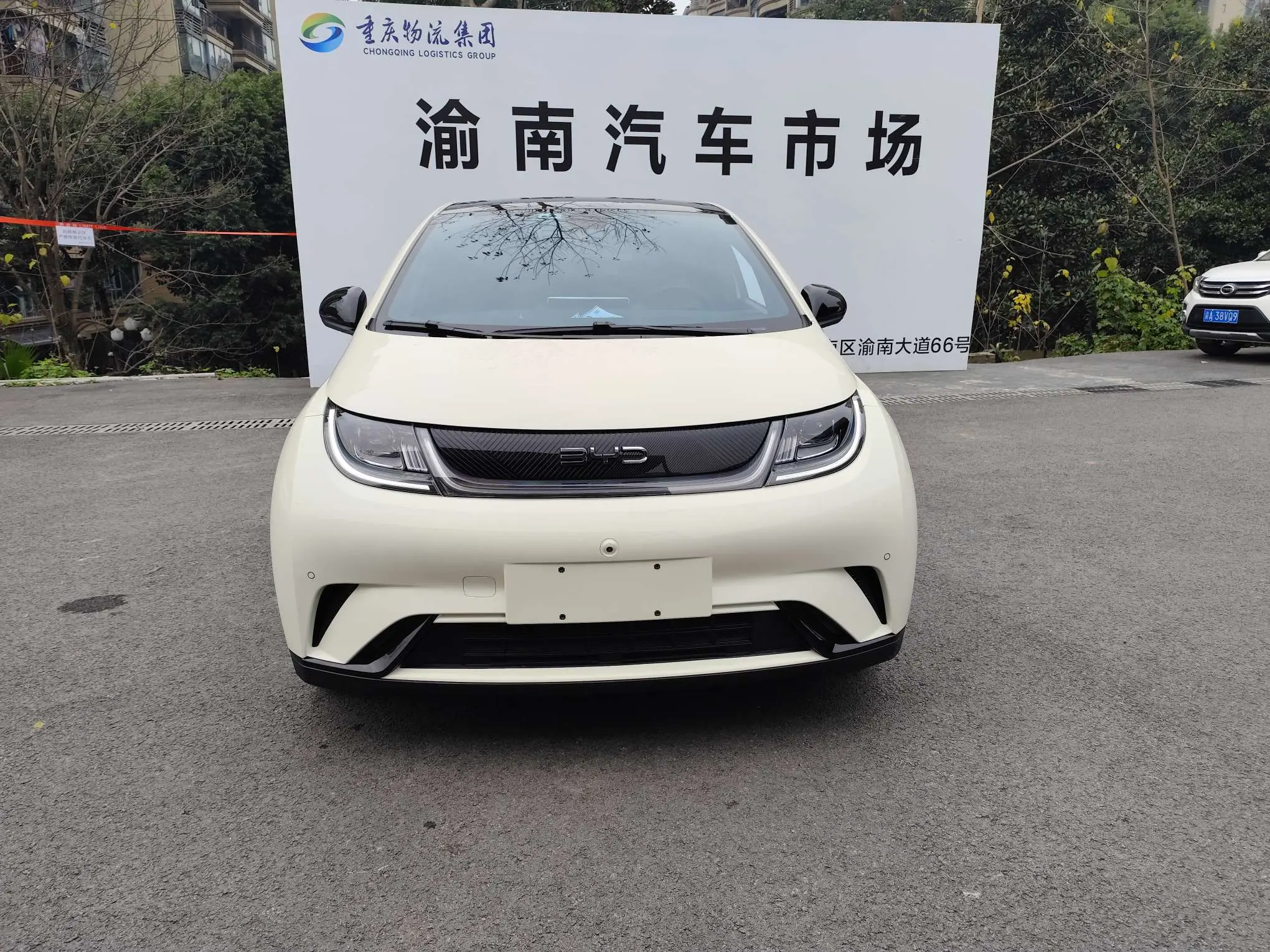 BYD Dolphin  из Китая