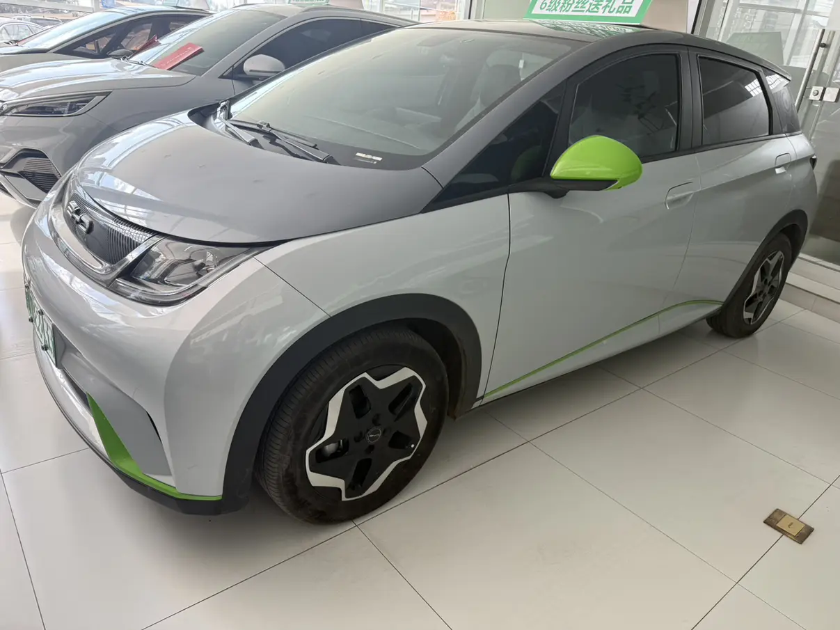 BYD Dolphin  из Китая