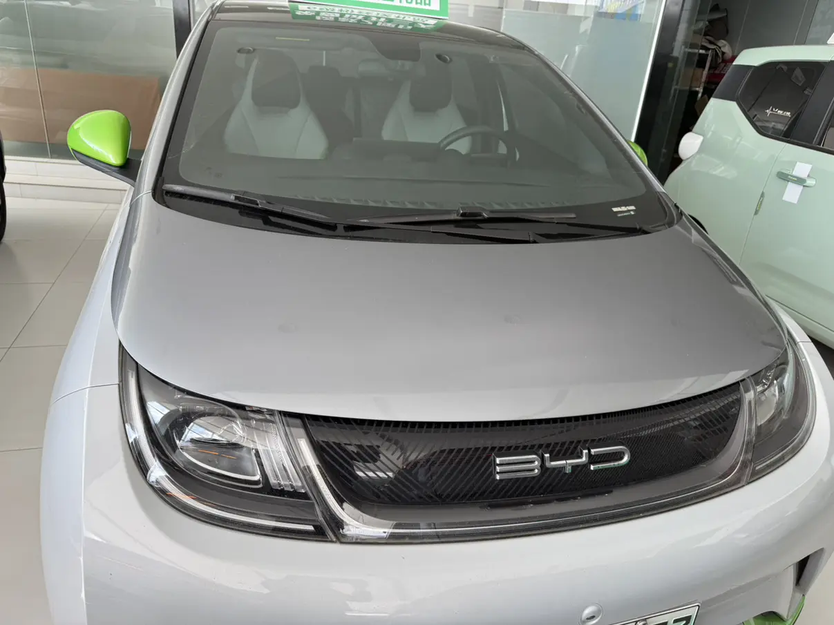 BYD Dolphin  из Китая