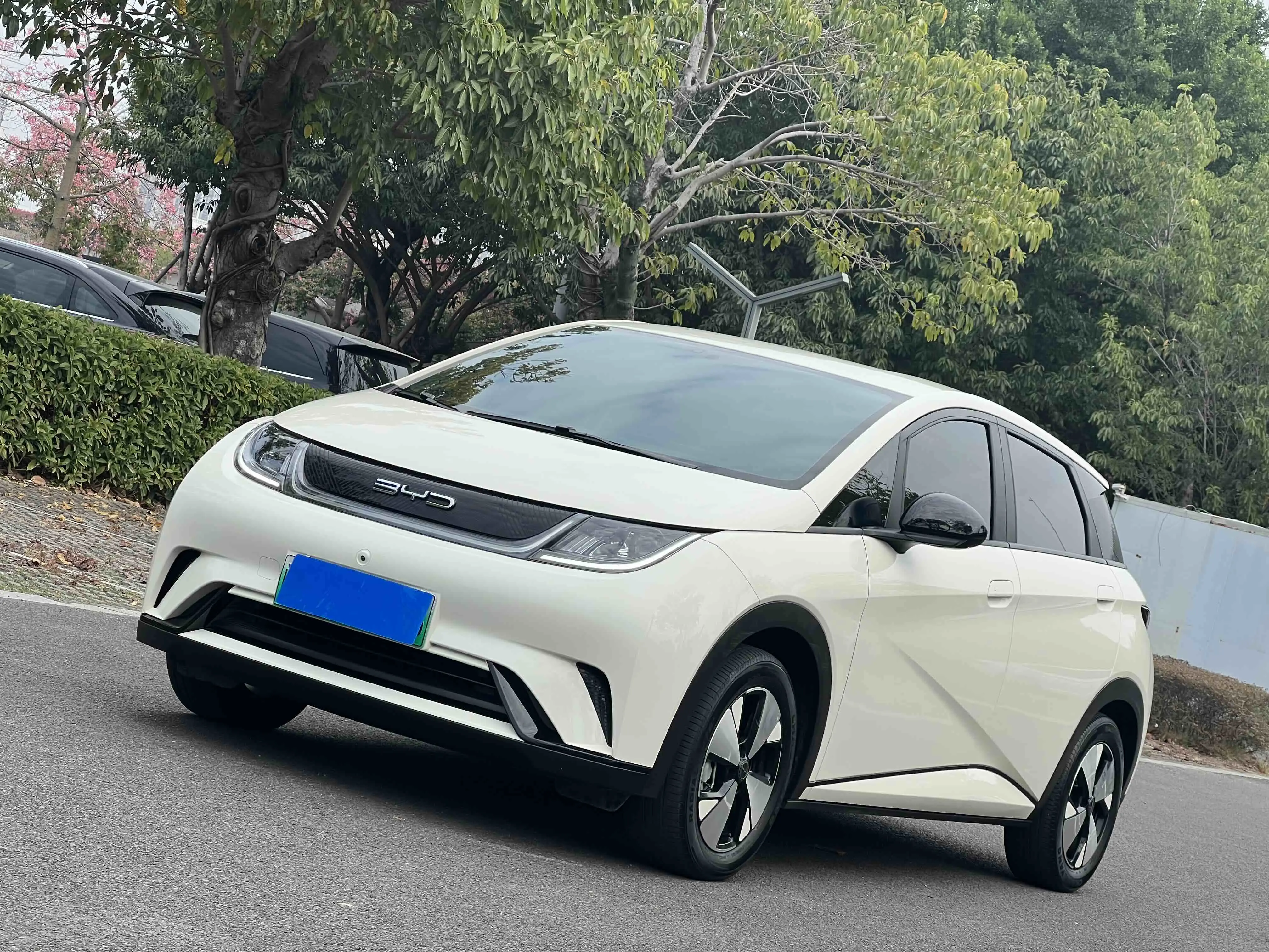 BYD Dolphin  из Китая