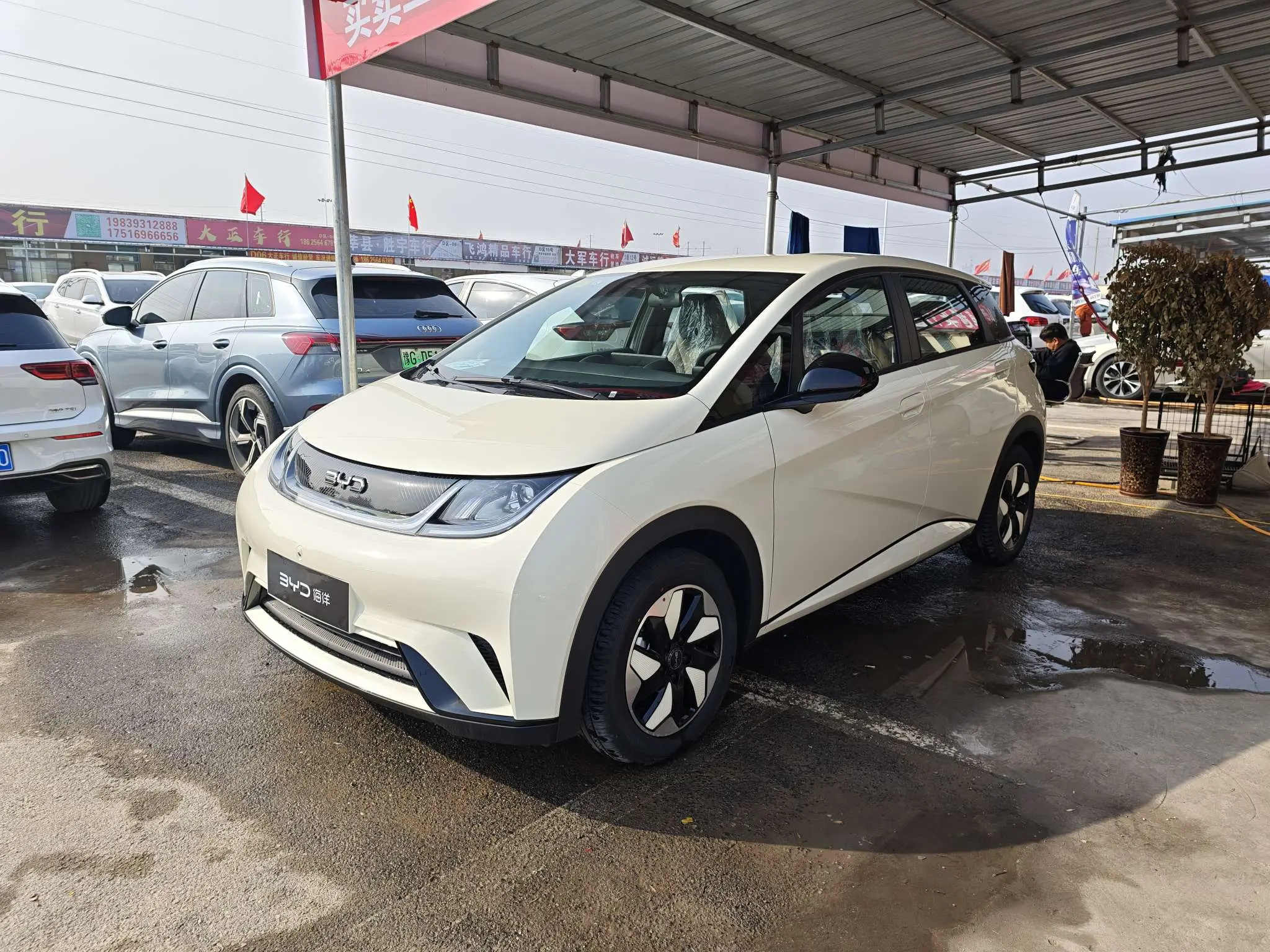 BYD Dolphin  из Китая