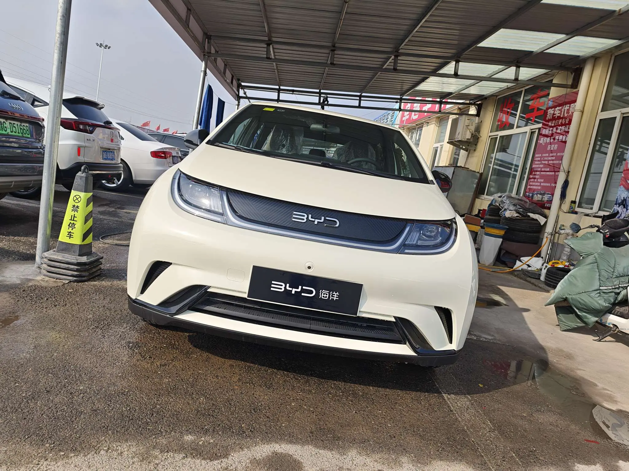 BYD Dolphin  из Китая