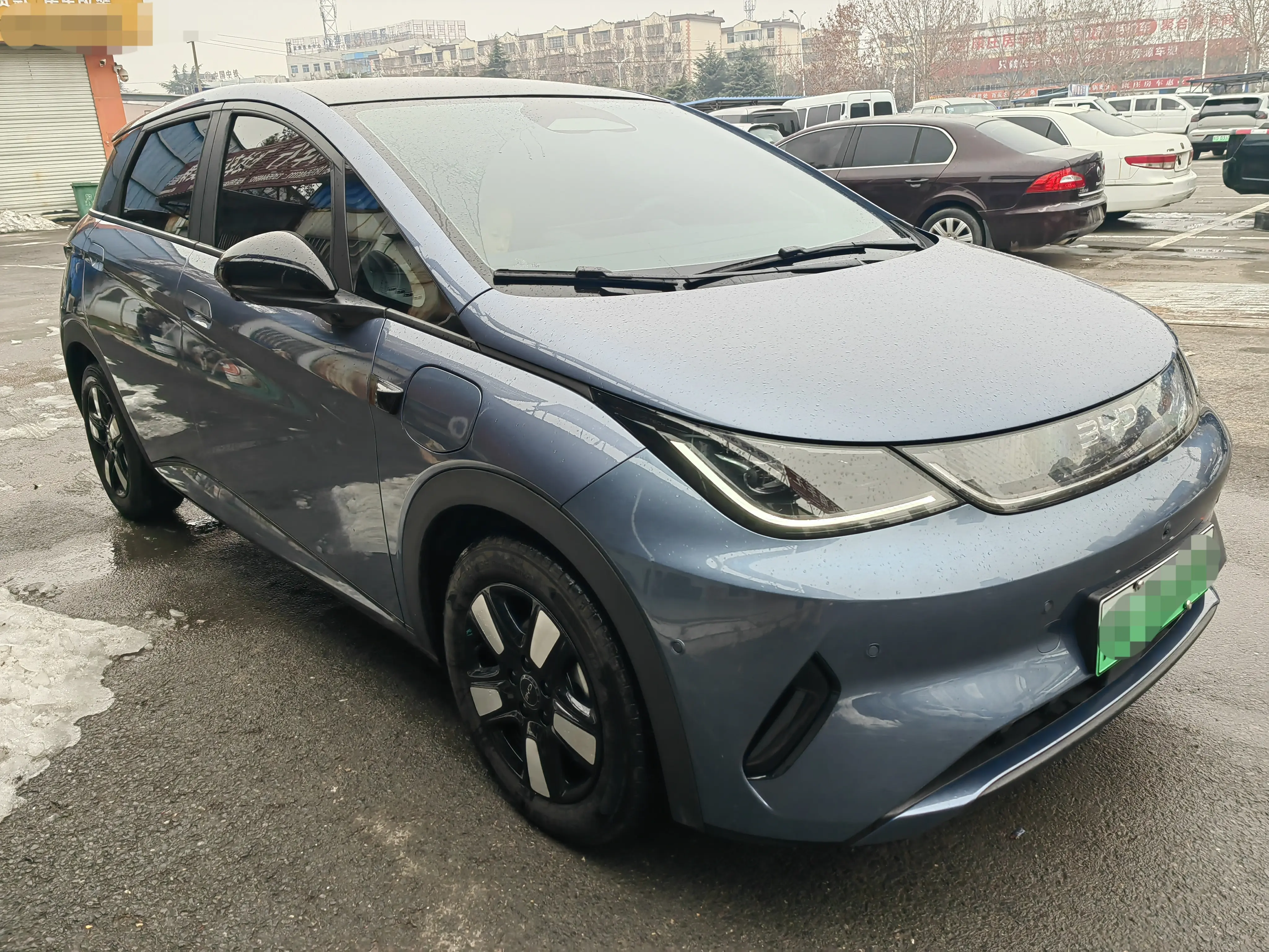 BYD Dolphin  из Китая