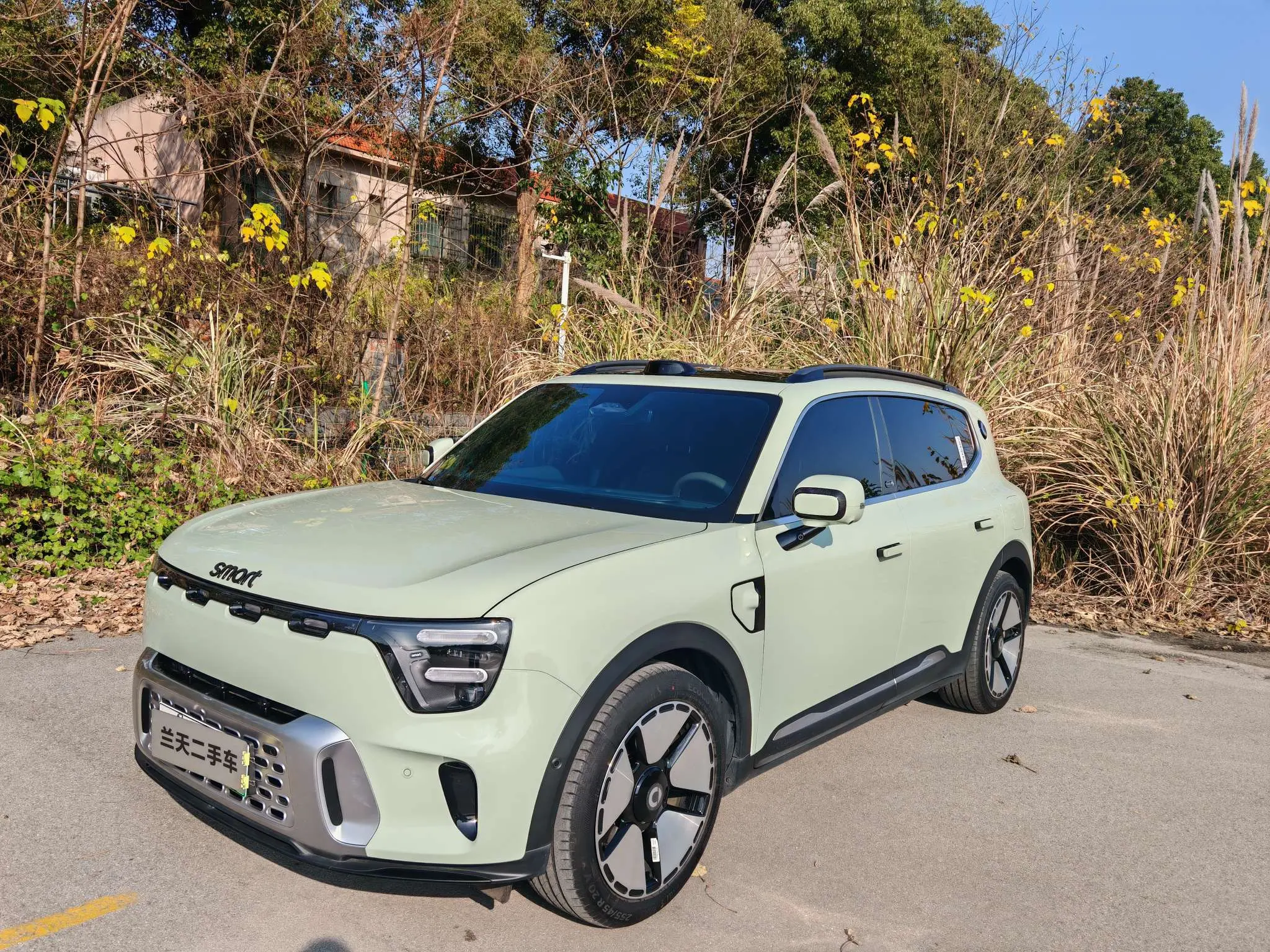 Smart Elf #5  из Китая