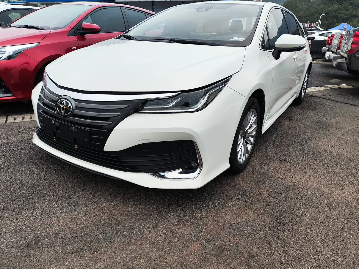 Toyota Asiatic lion
