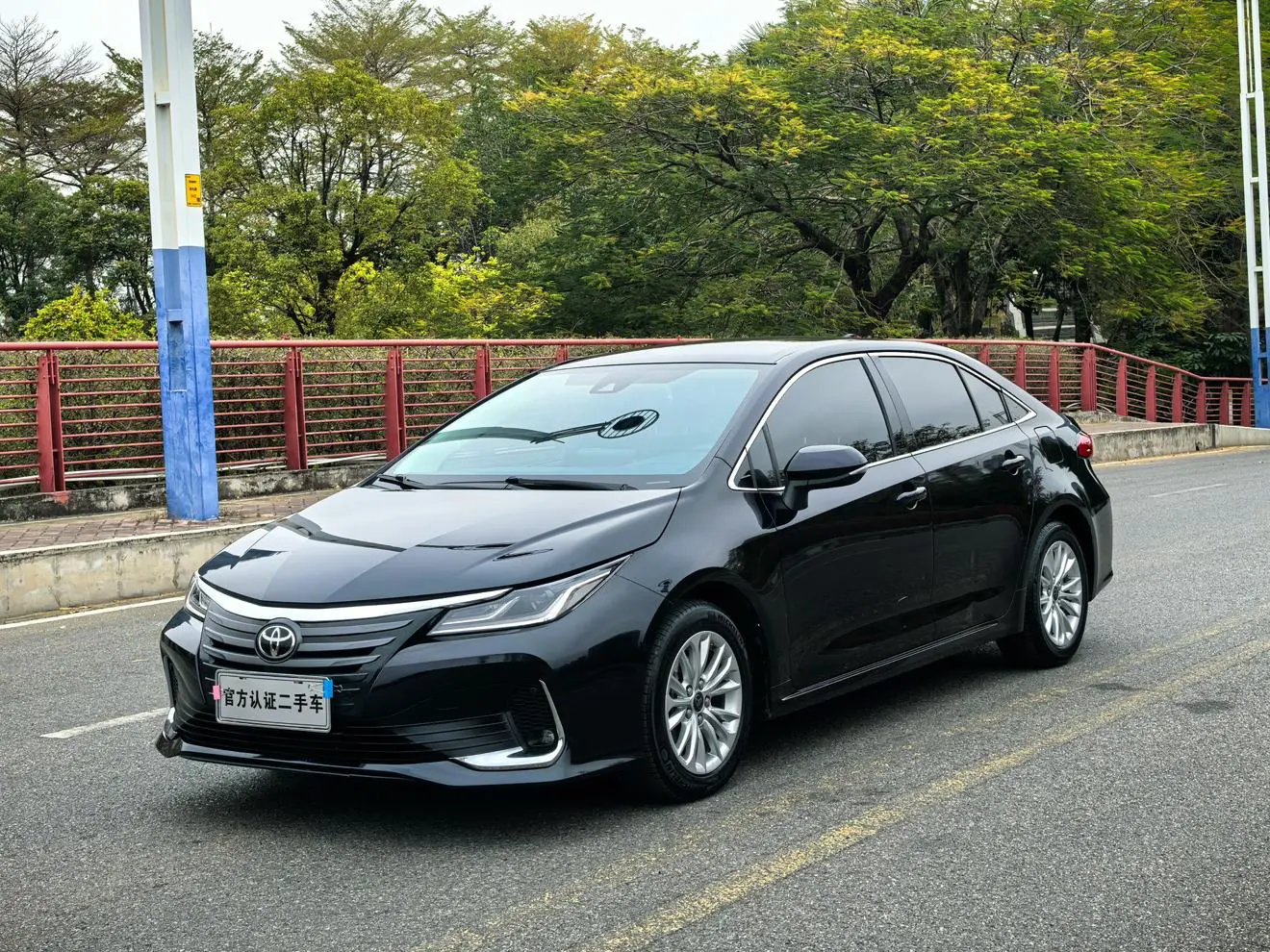 Toyota Asiatic lion