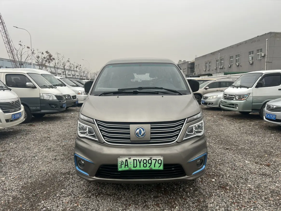 Forthing Lingzhi New Energy  из Китая