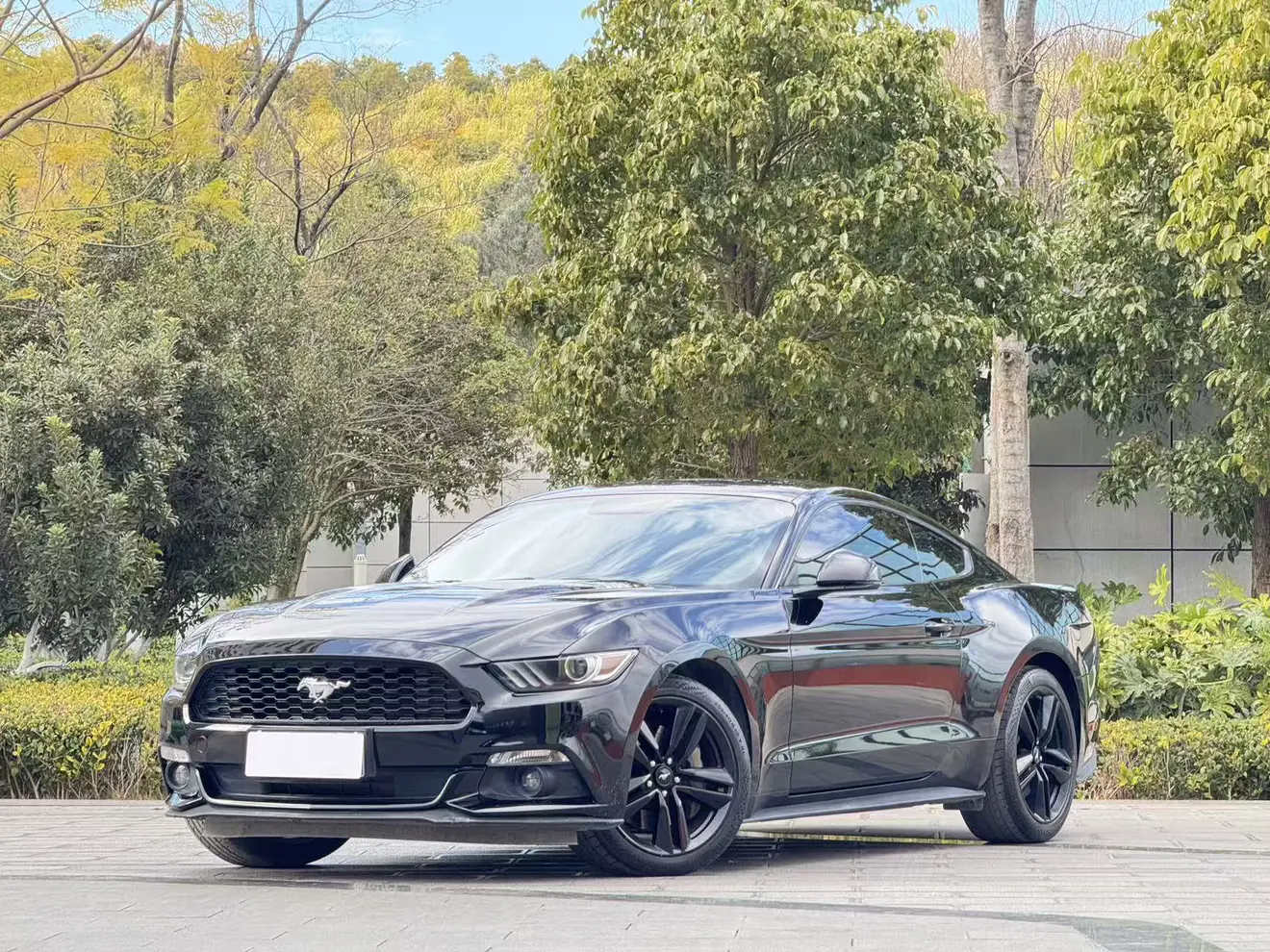 Ford Mustang  из Китая