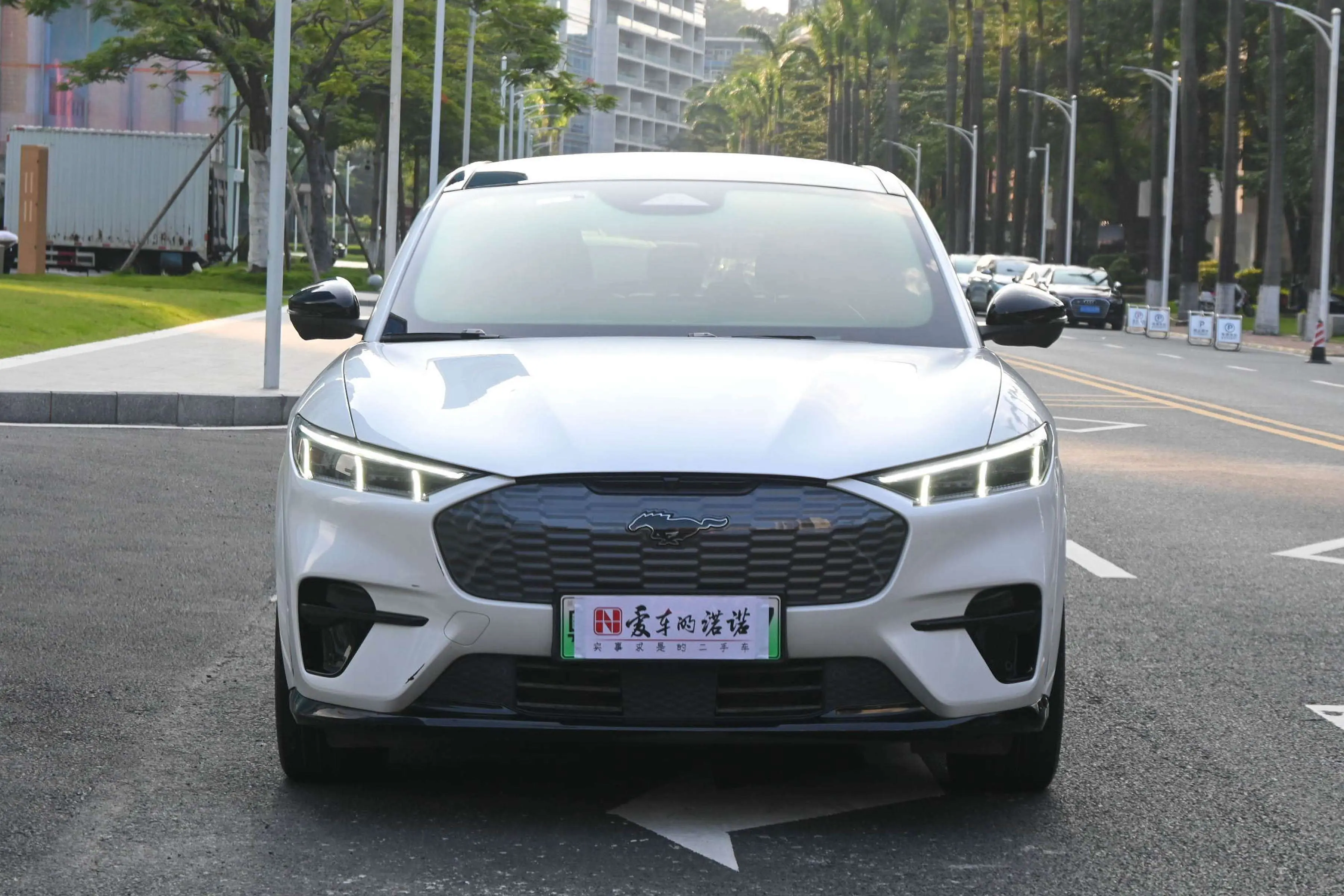 Ford electric horse  из Китая