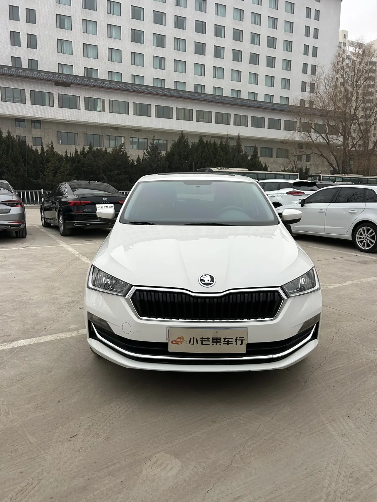 Skoda Xin Dong  из Китая