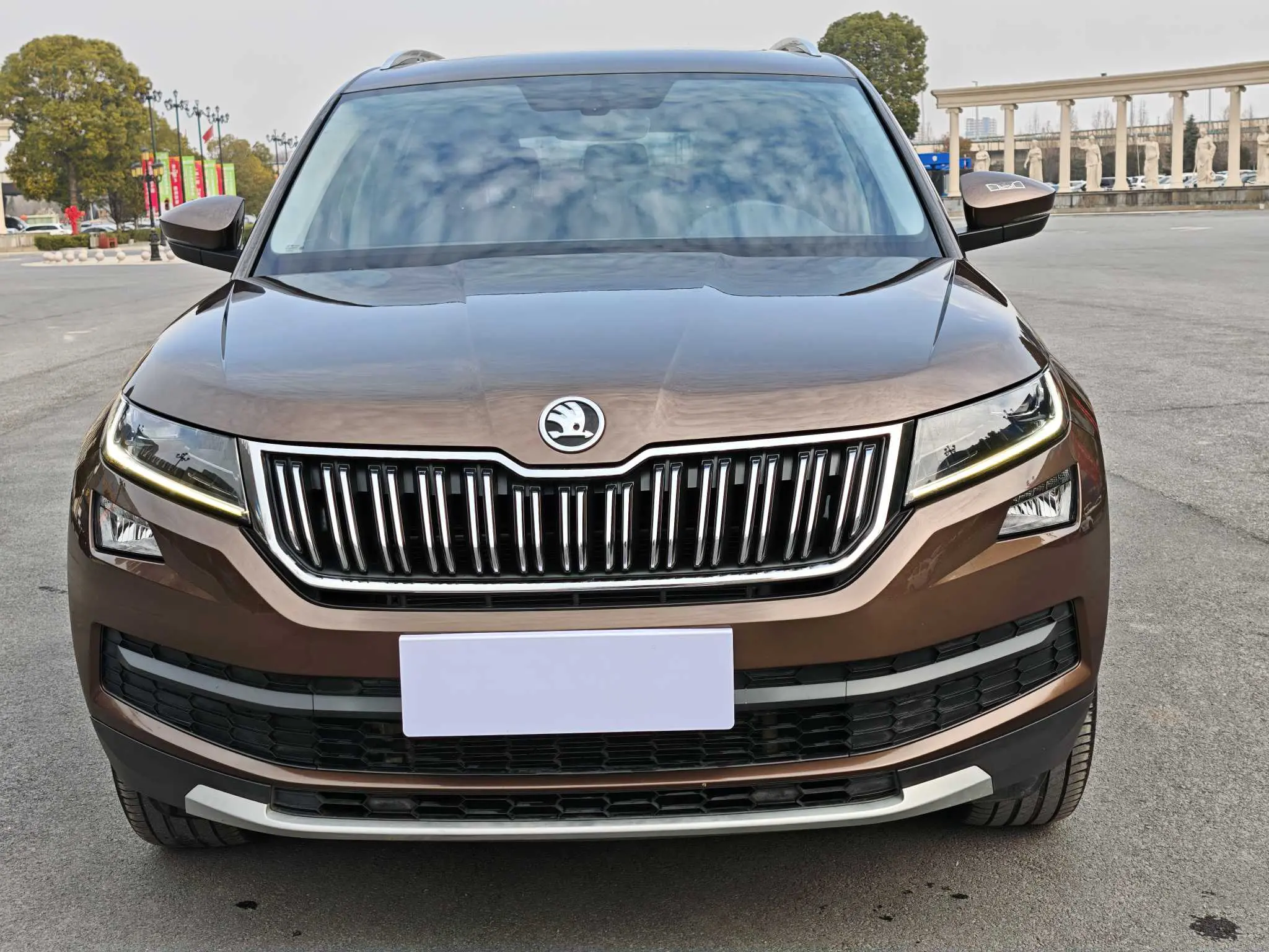 Skoda Kodiaq  из Китая