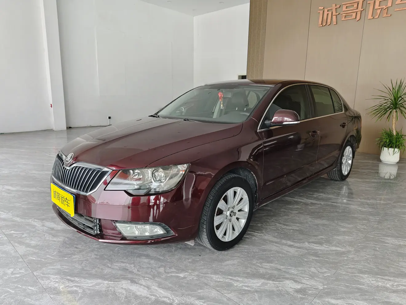 Skoda Speedy  из Китая