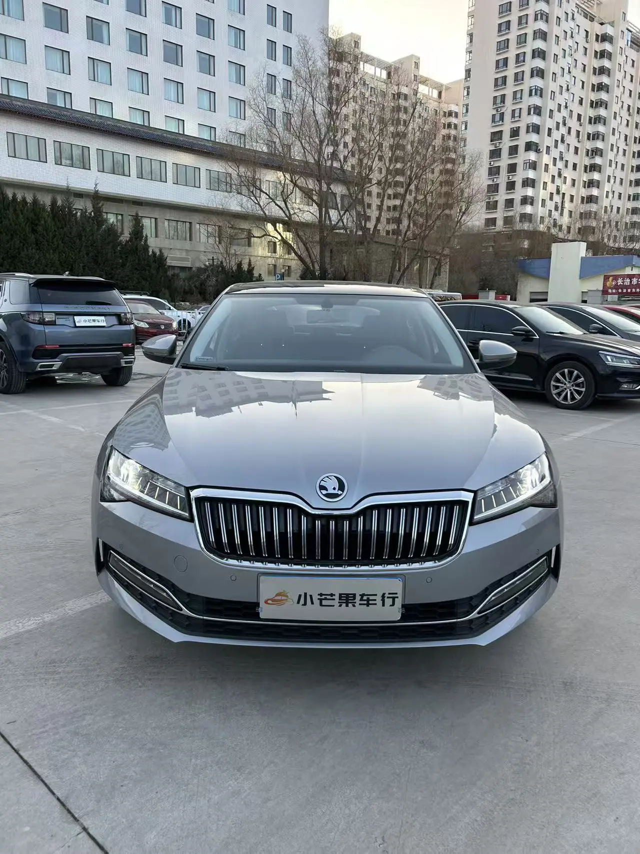 Skoda Speedy  из Китая