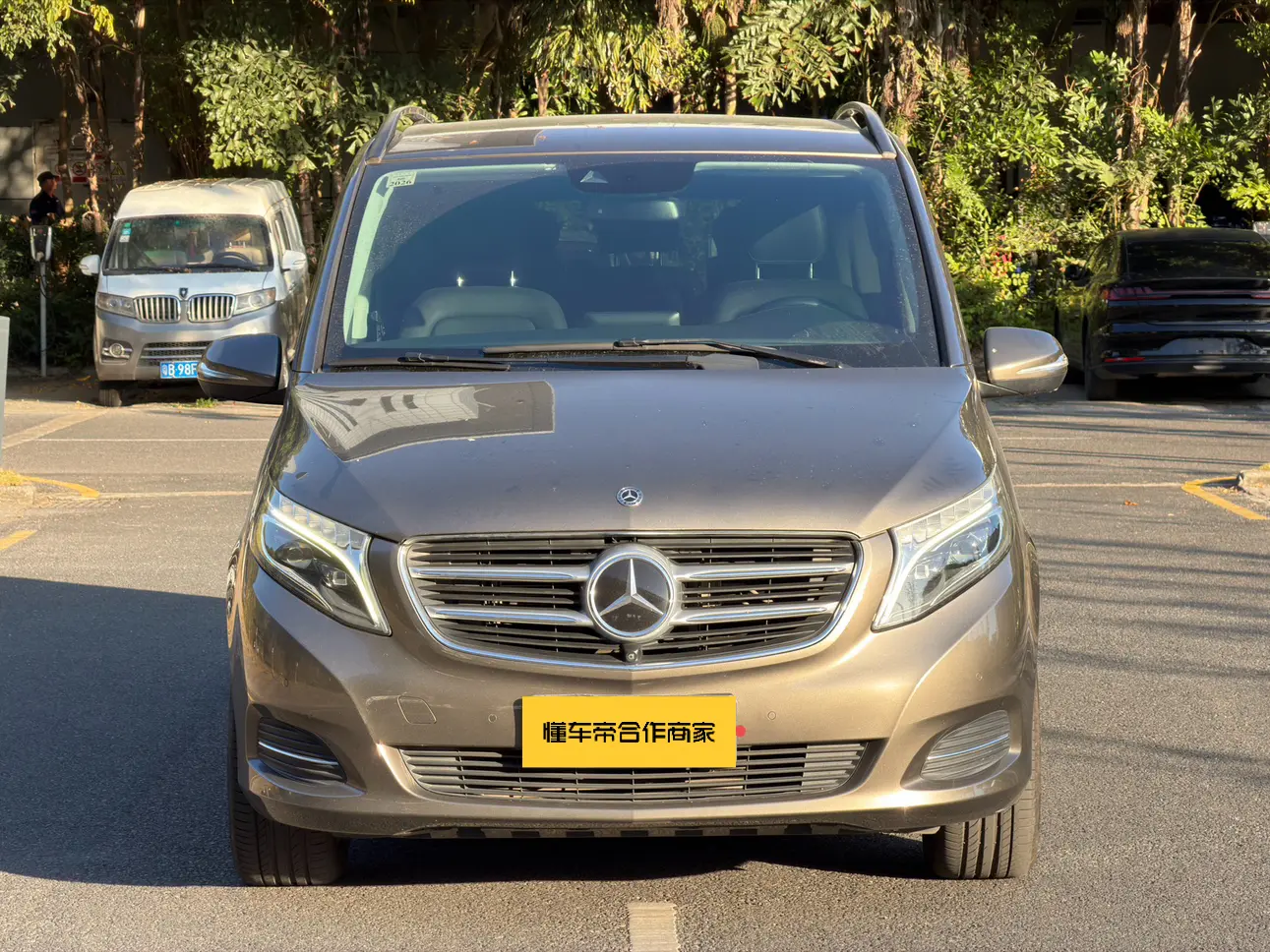 Mercedes-Benz Mercedes Benz V Class  из Китая