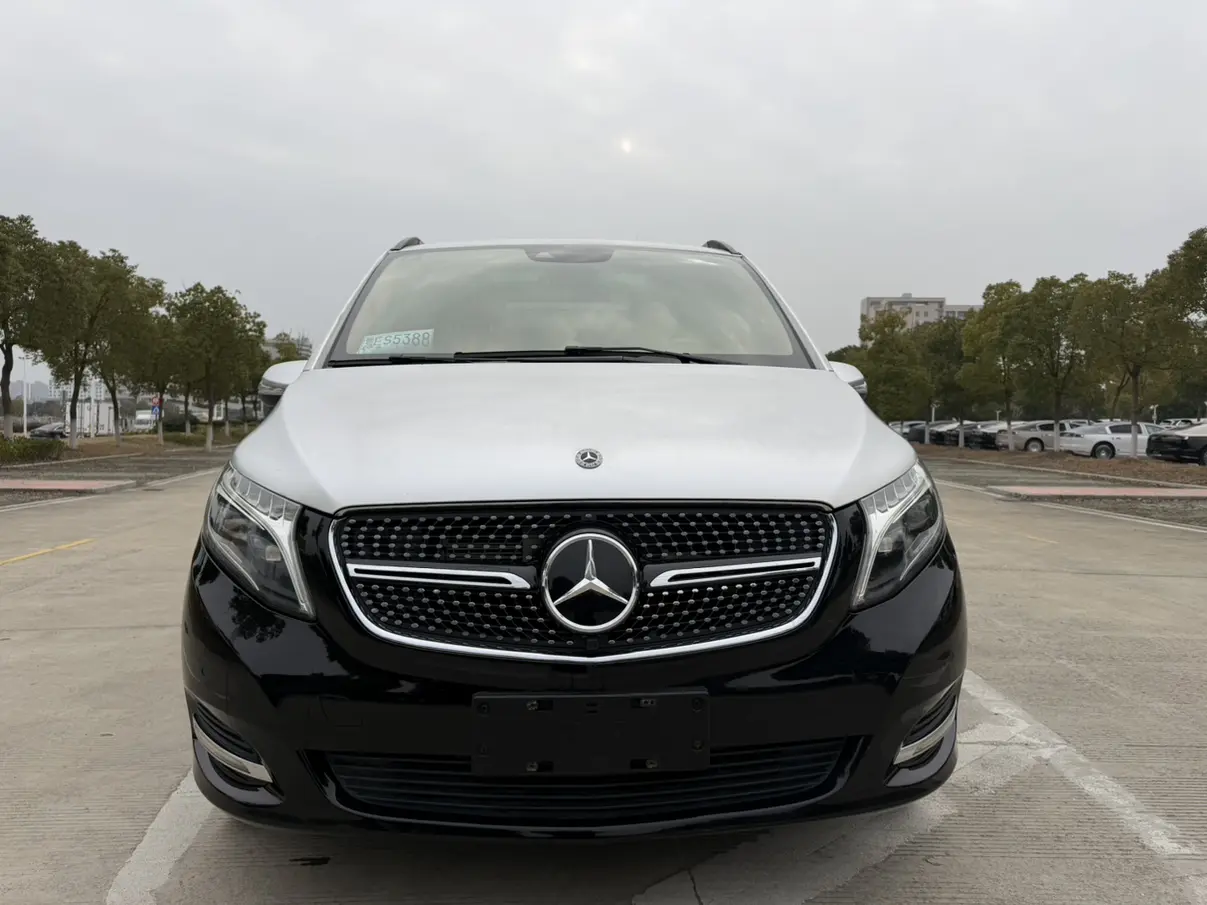 Mercedes-Benz Mercedes Benz V Class  из Китая