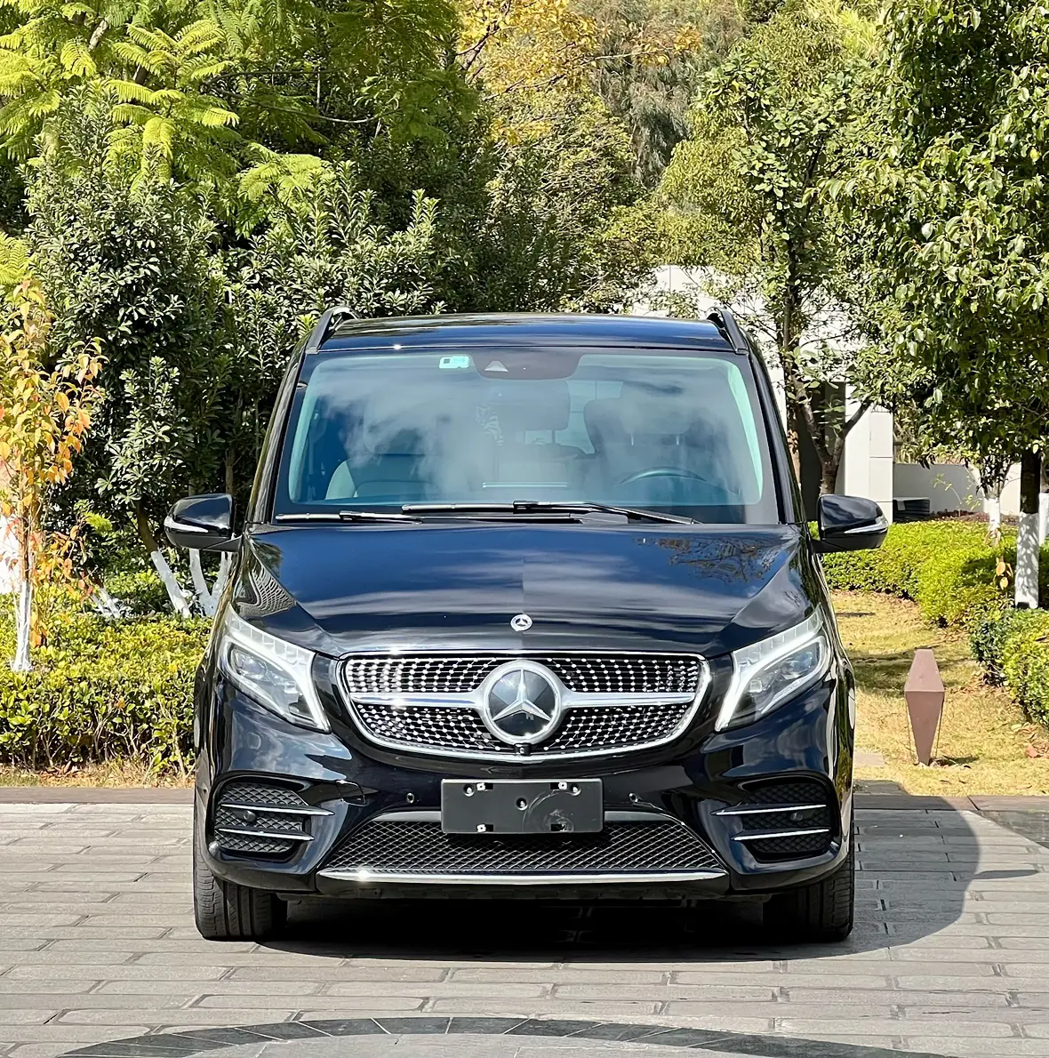 Mercedes-Benz Mercedes Benz V Class  из Китая