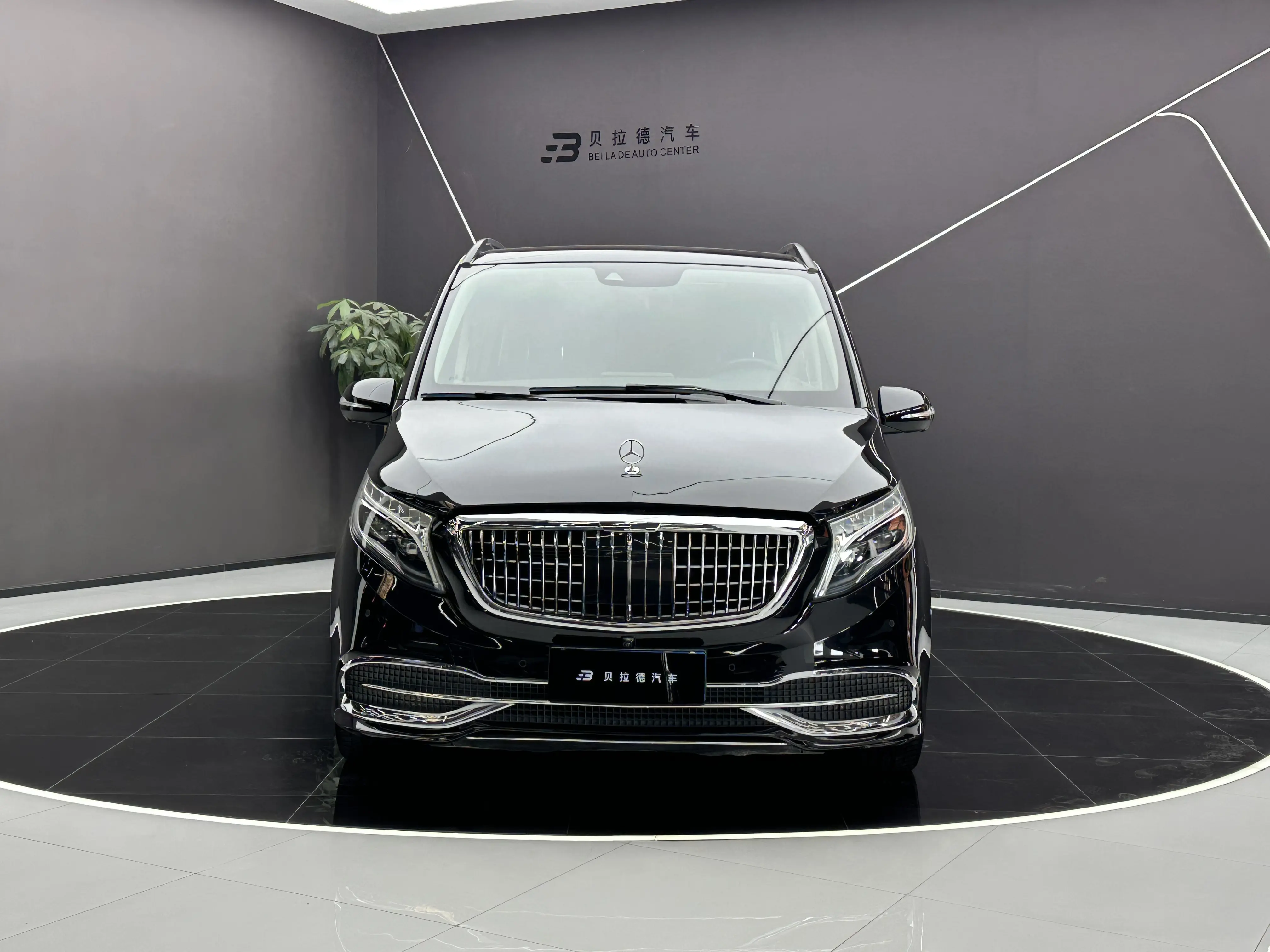 Mercedes-Benz Mercedes Benz V Class  из Китая