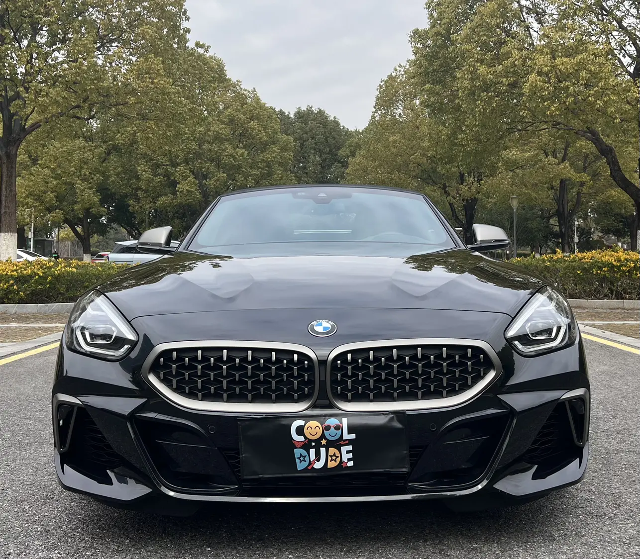 BMW Z4  из Китая