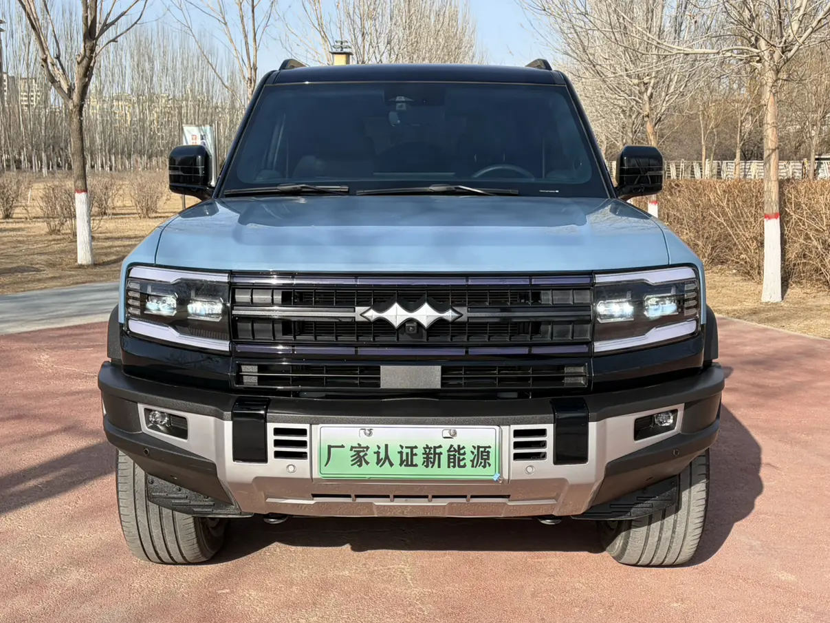 BYD Leopard Leopard 5  из Китая