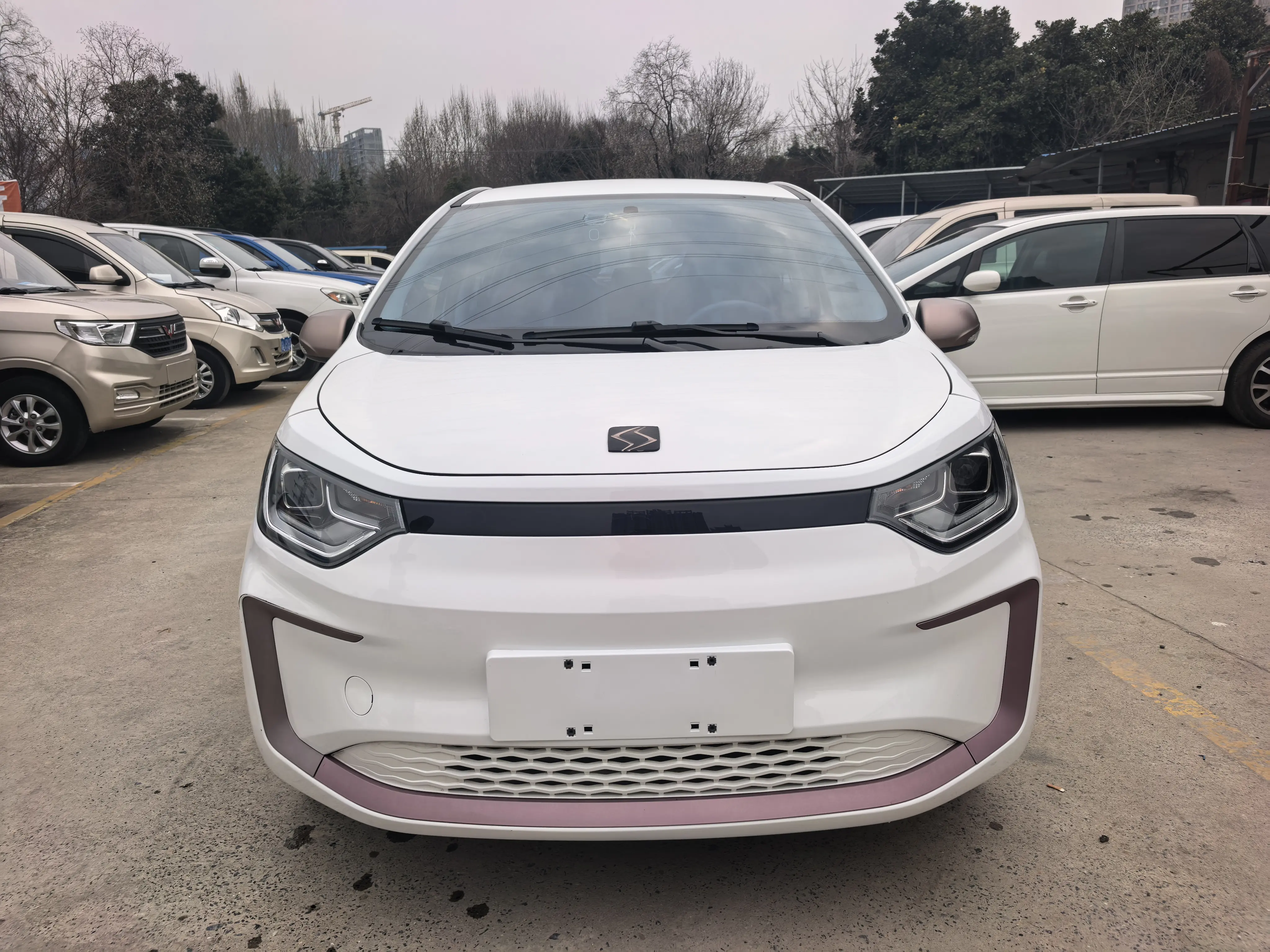 JAC (Sihao) Sihao Flower Fairy  из Китая