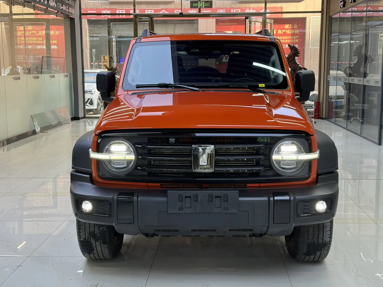 Tank 300  из Китая