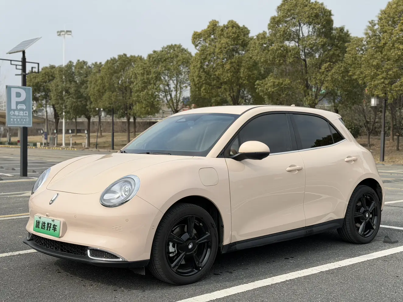 ORA Euler good cat  из Китая