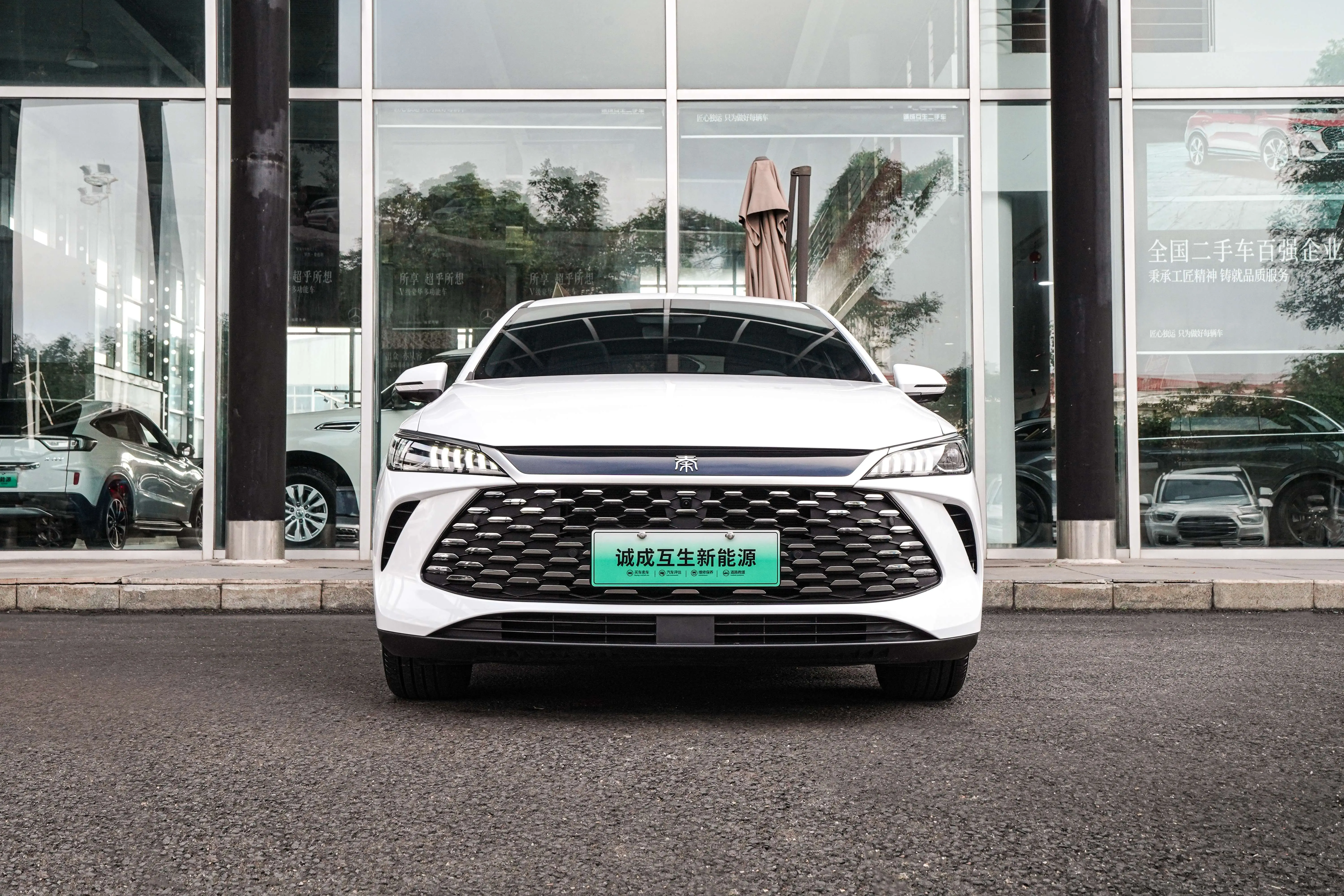 BYD Qin PLUS DM