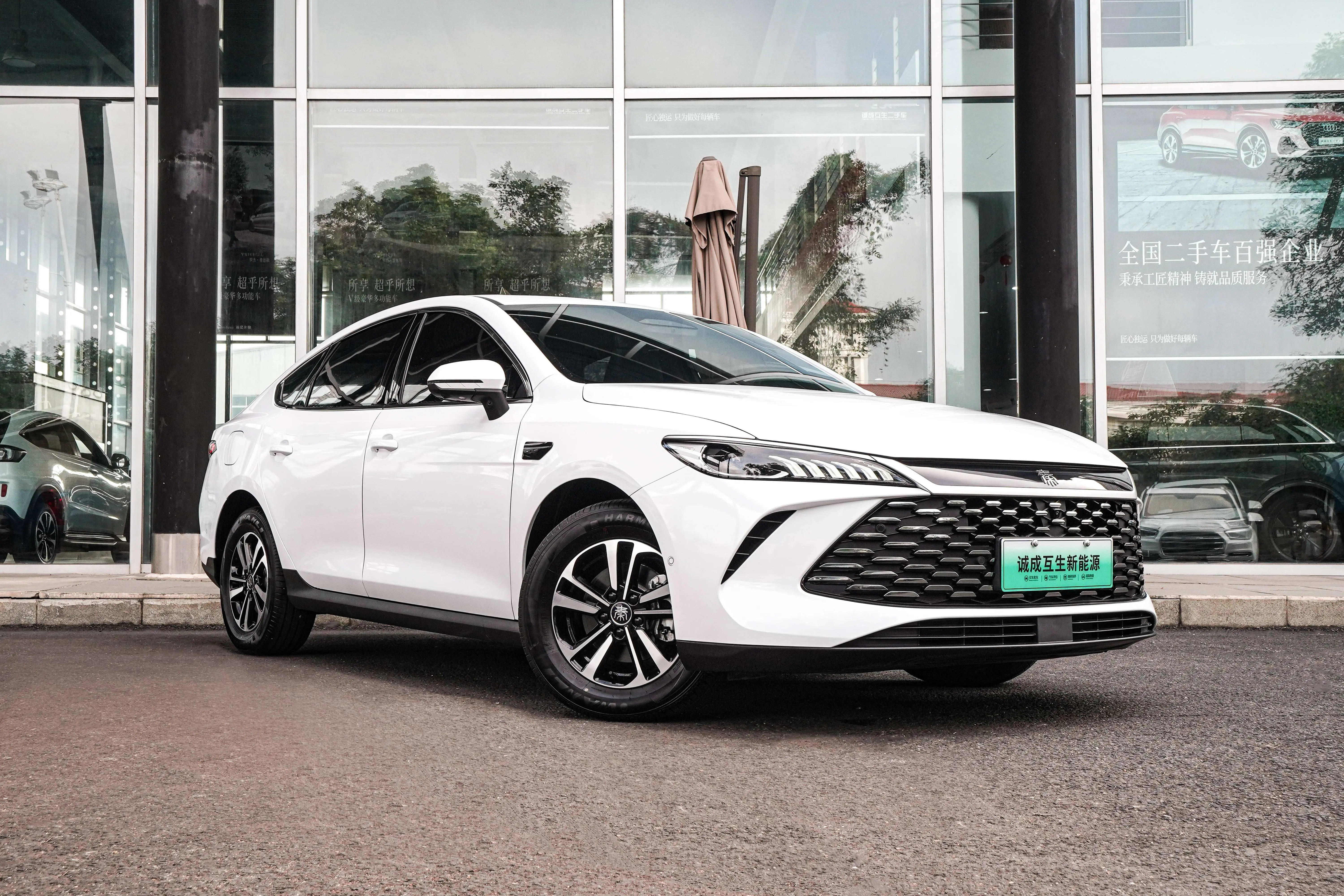 BYD Qin PLUS DM