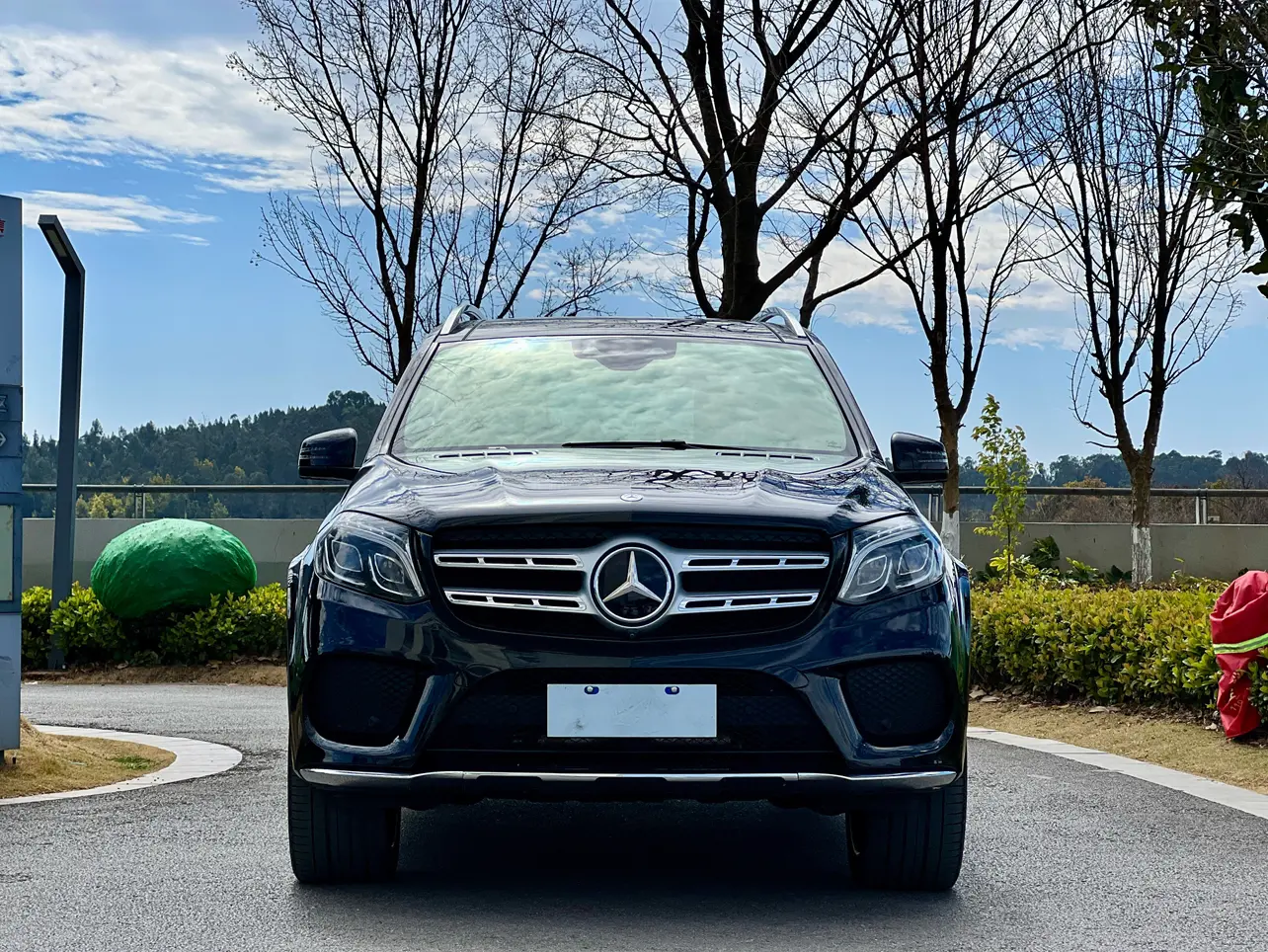 Mercedes-Benz Mercedes Benz GLS  из Китая