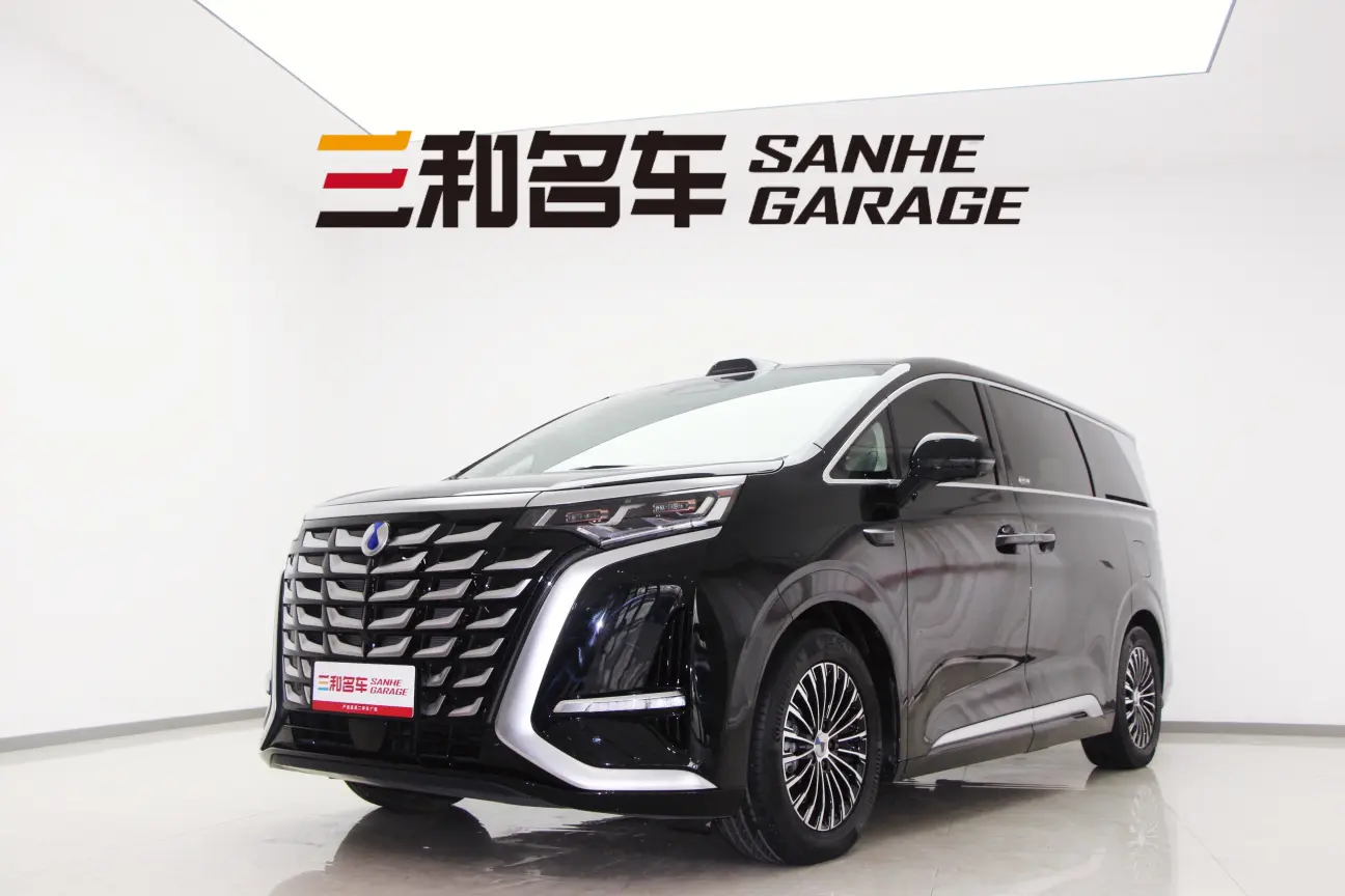 Denza D9 DM  из Китая