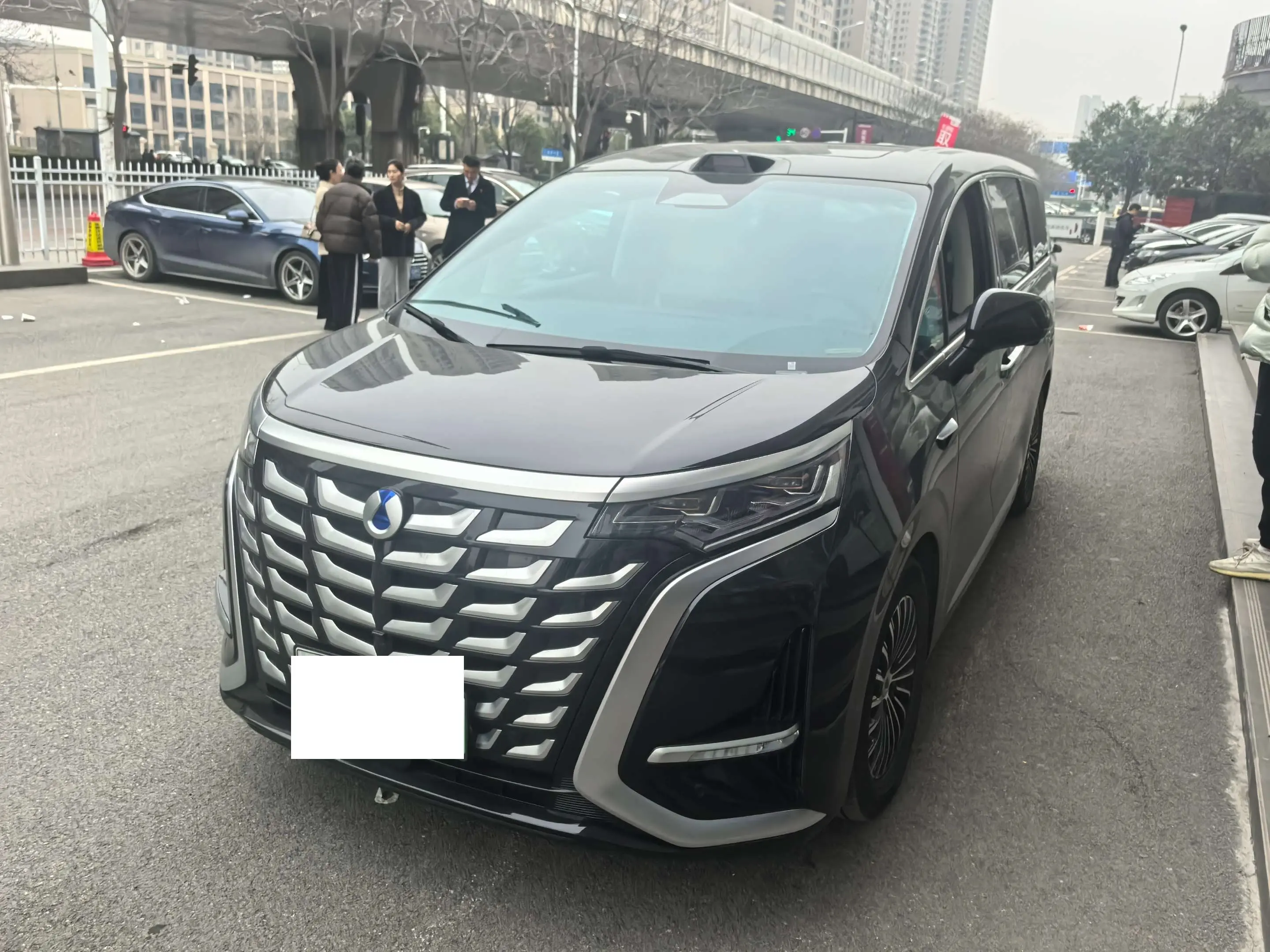 Denza D9 DM  из Китая