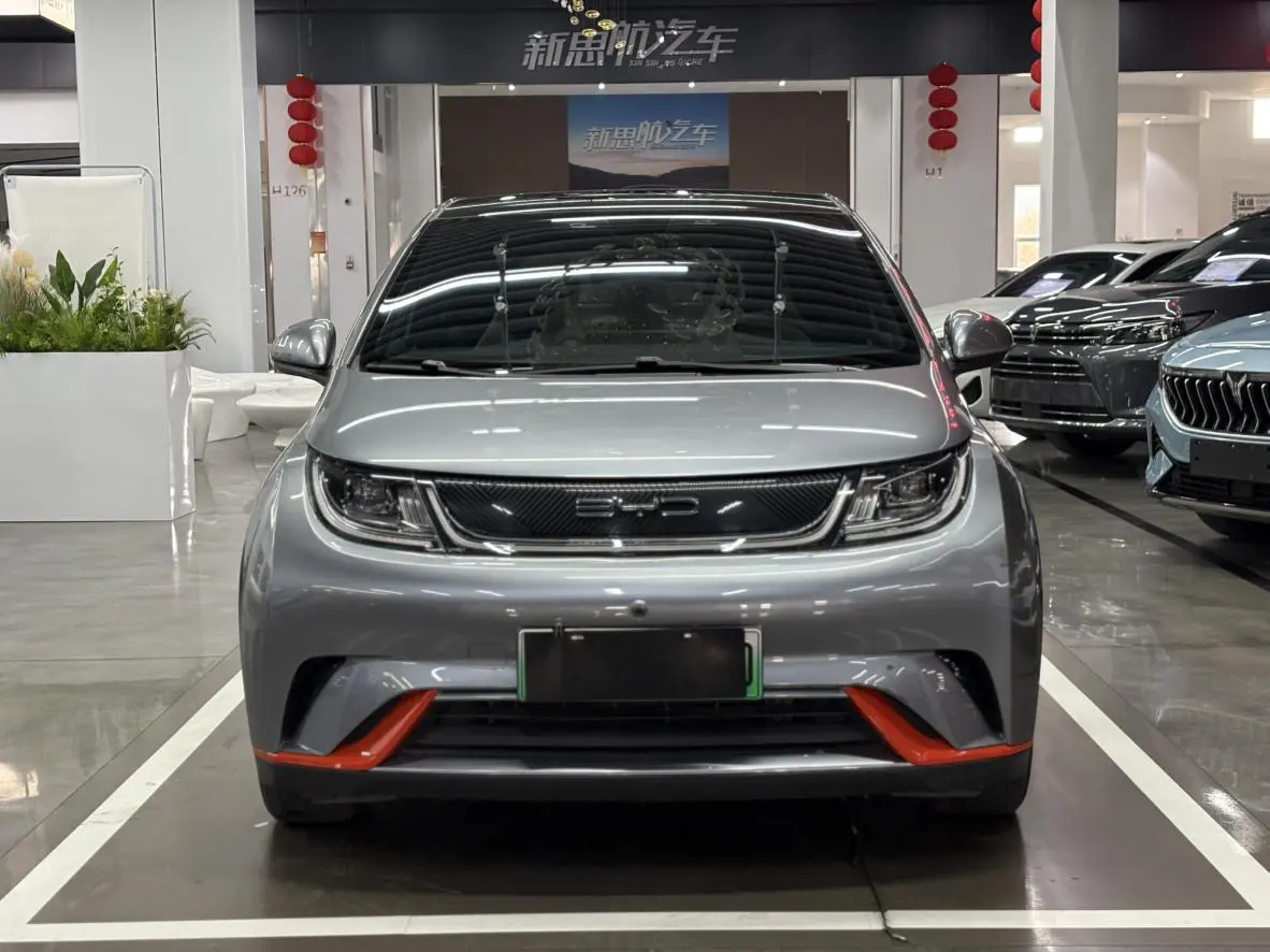 BYD Dolphin  из Китая