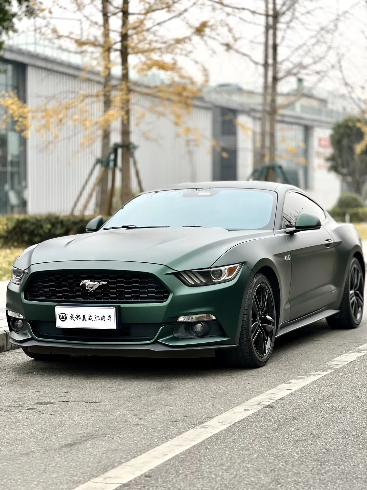 Ford Mustang
