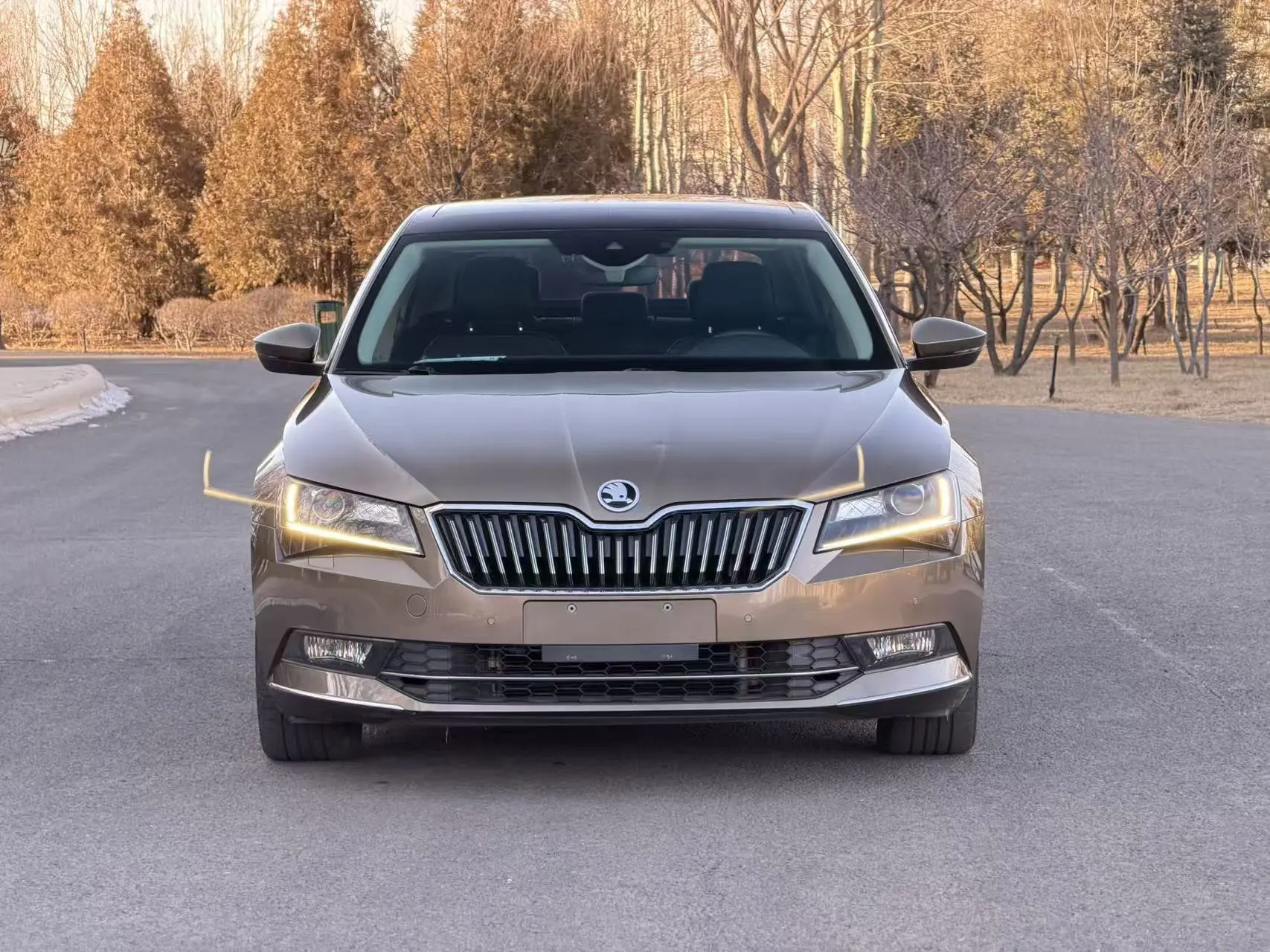 Skoda Speedy  из Китая