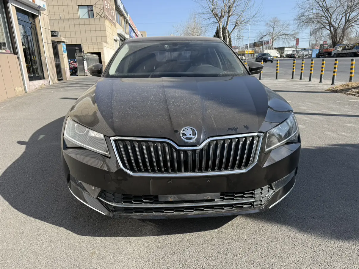 Skoda Speedy  из Китая