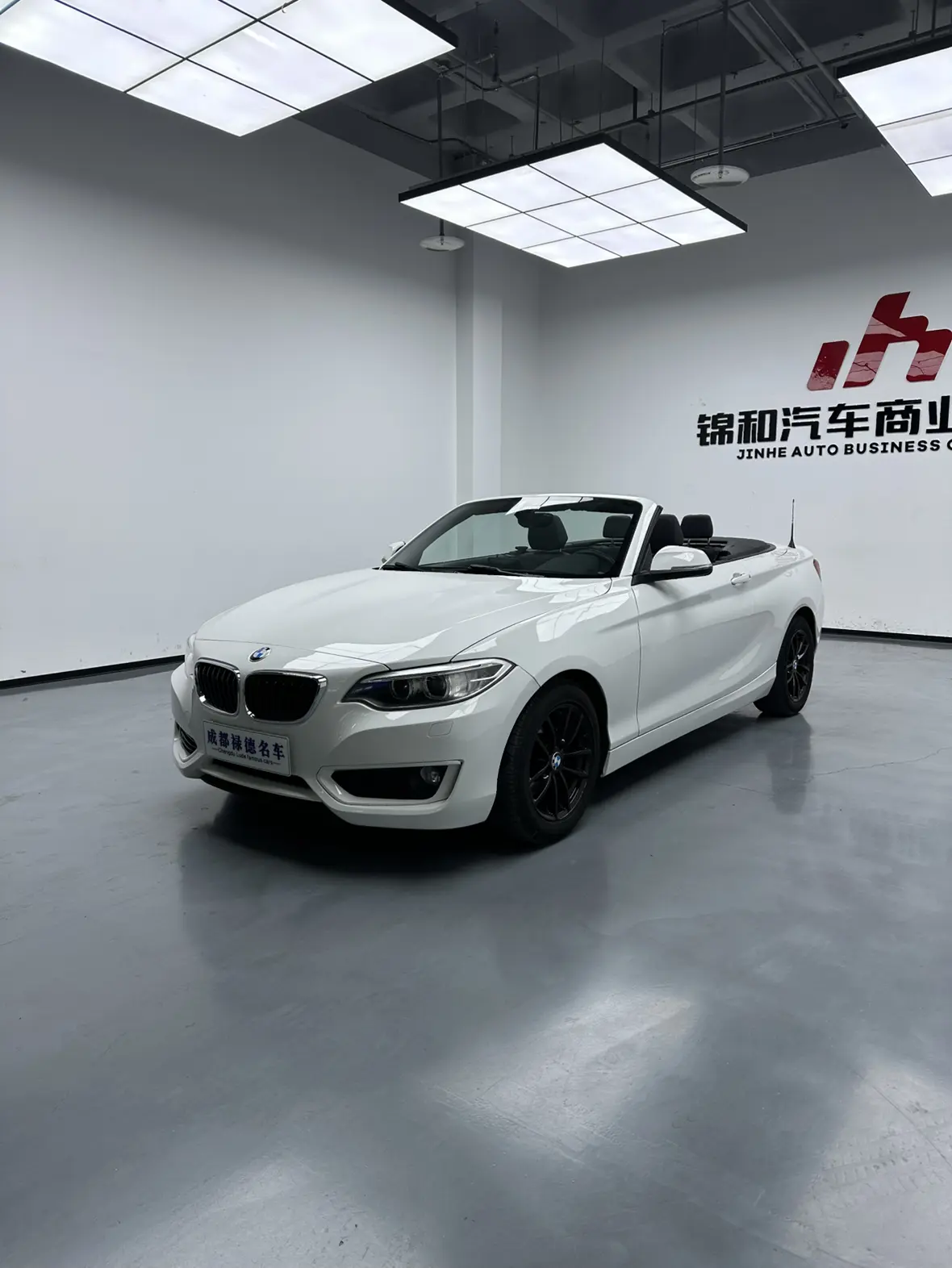 BMW 2 Series  из Китая