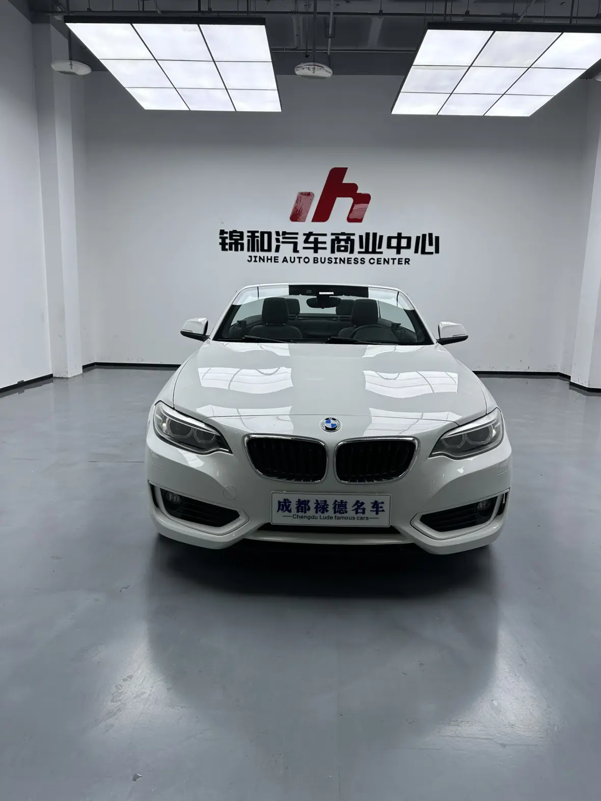 BMW 2 Series  из Китая