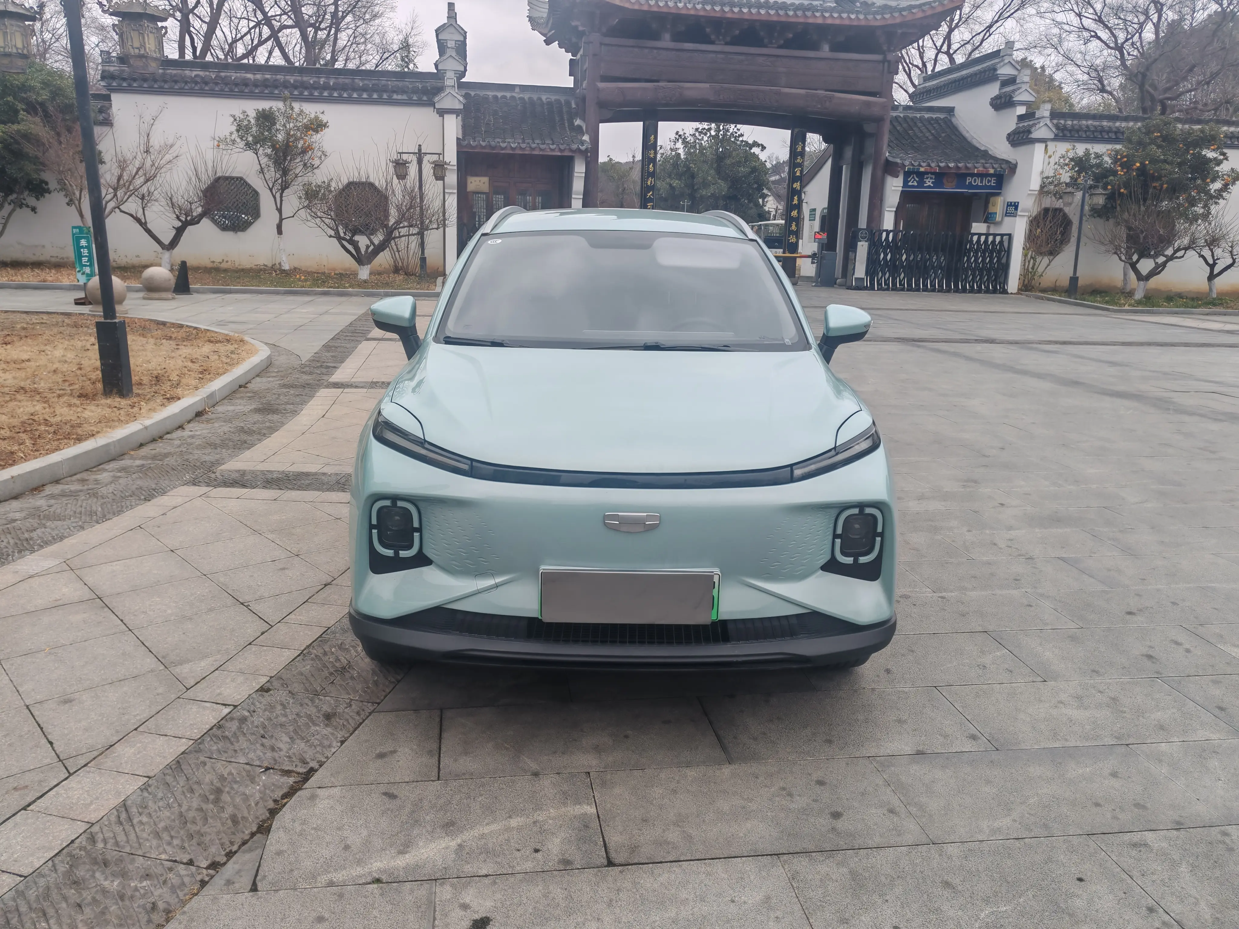 Geely Geometry E Firefly  из Китая